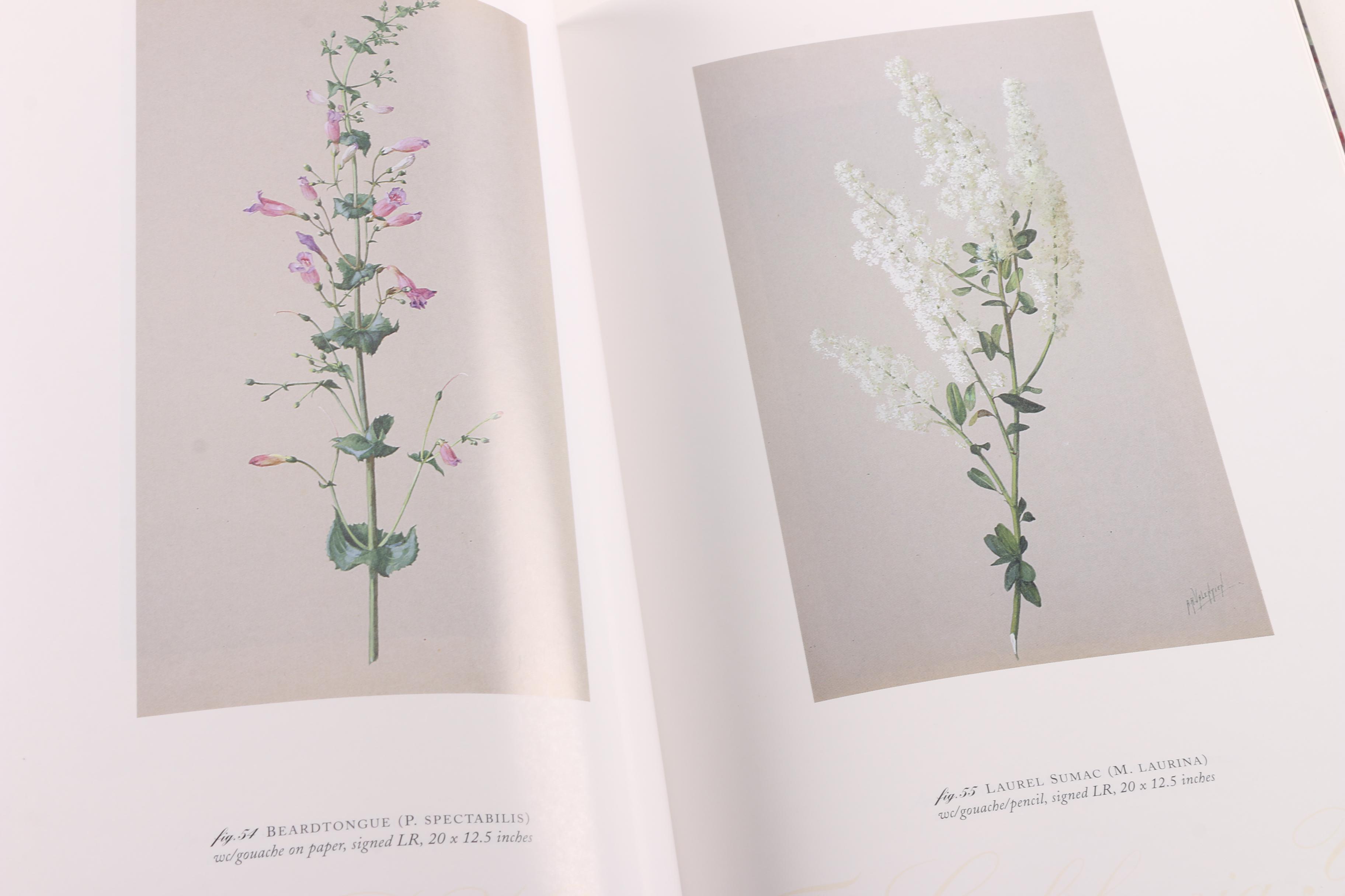 Art and Pottery Books Including Cincinnati Art Galleries Publications