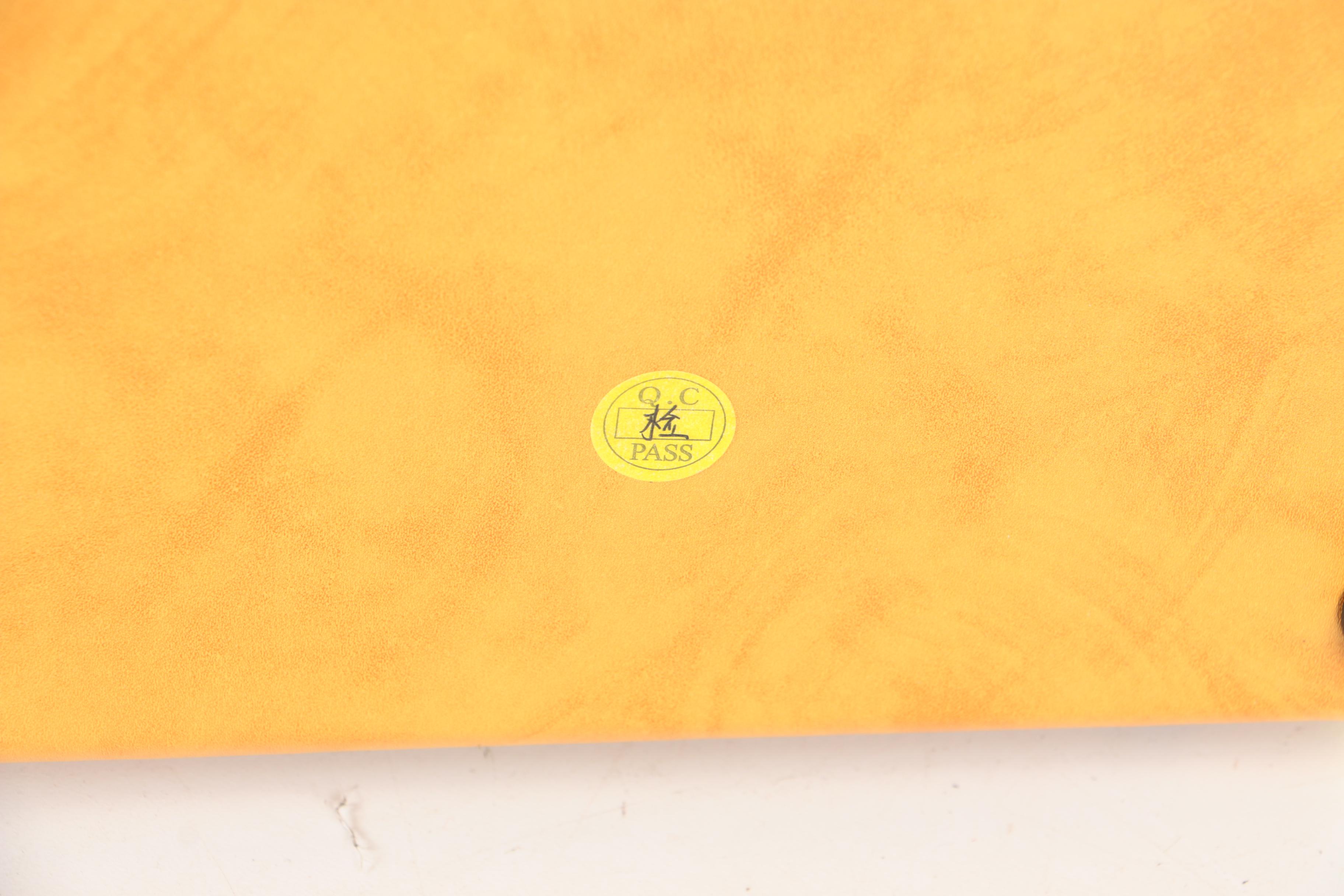 Esteban Granada G-100 Acoustic/Electric Classical Guitar and ES-15A Amp