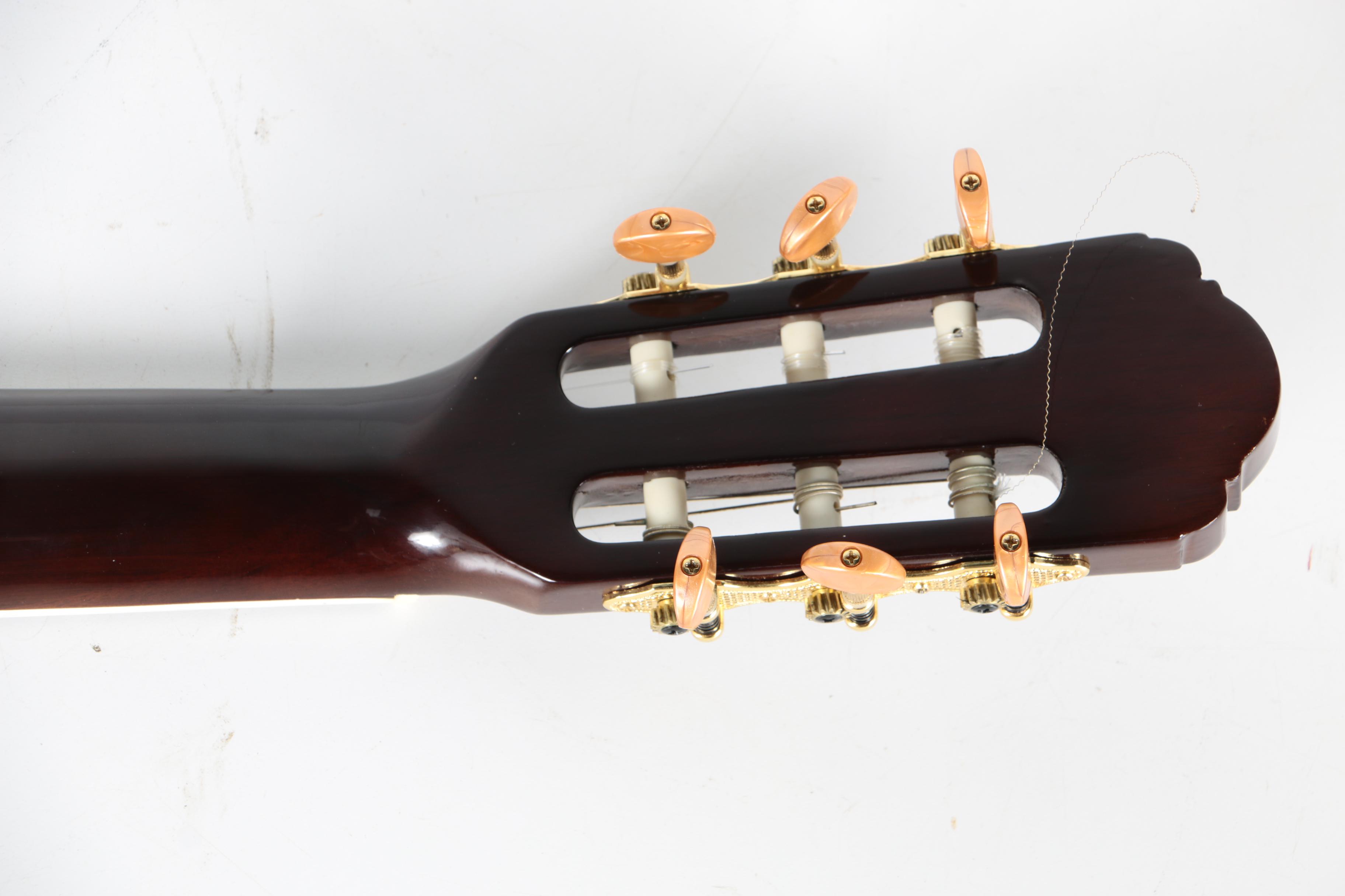 Esteban Granada G-100 Acoustic/Electric Classical Guitar and ES-15A Amp