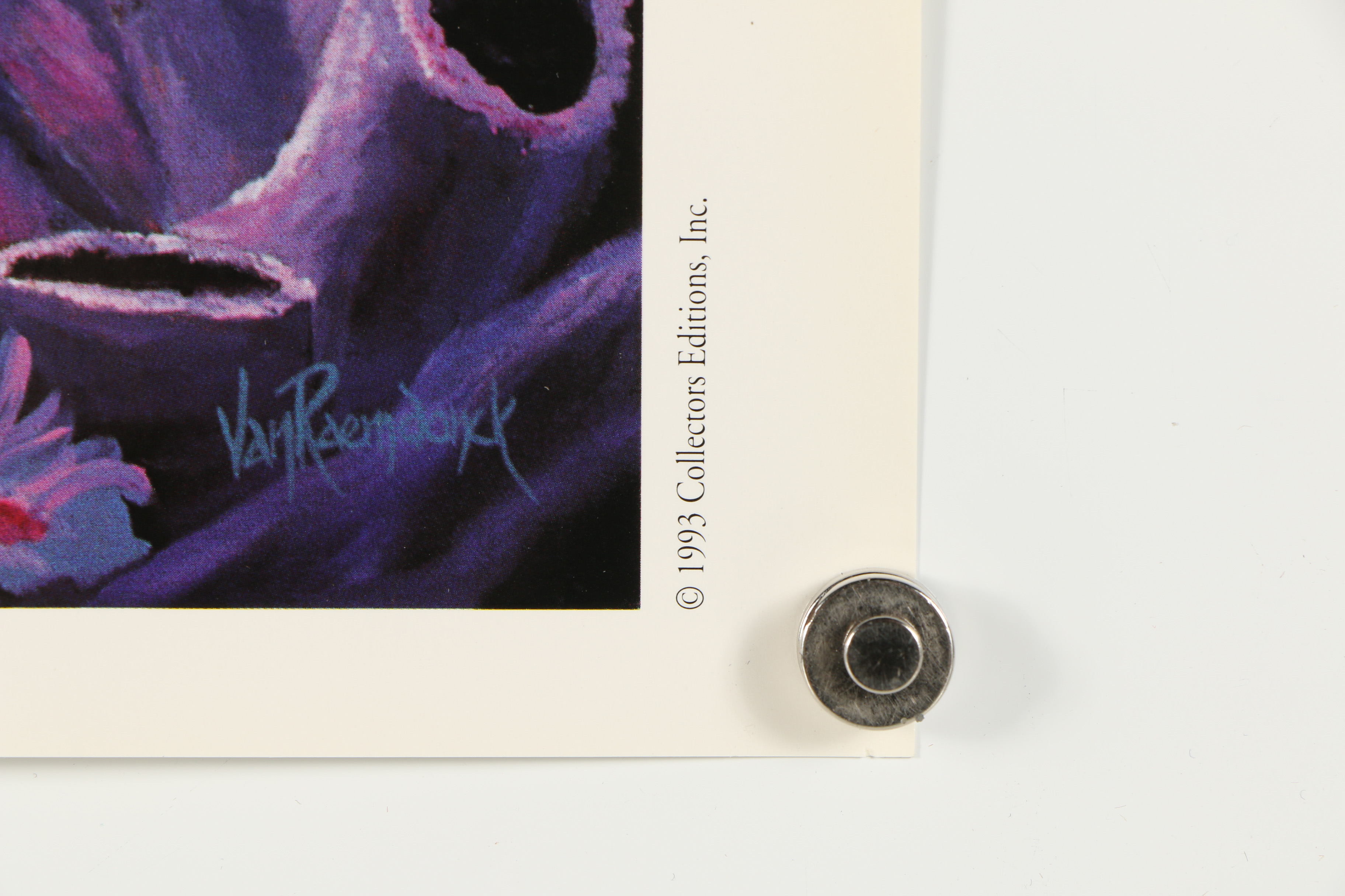 1993 Offset Lithograph After Eric Van Raemdonck "Gratitude"