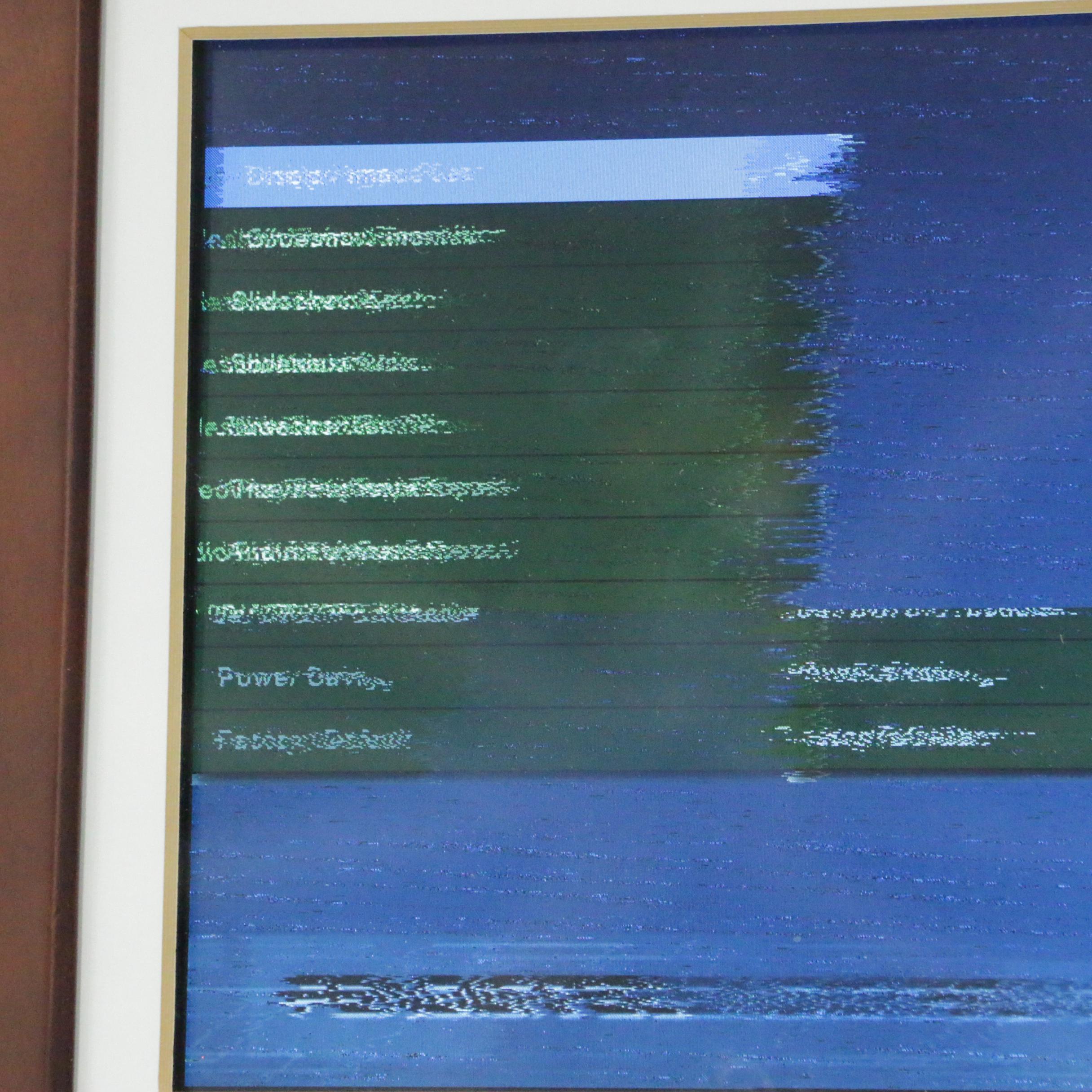 Pandigital Digital Picture Frame And Panasonic DMC-LX2 Digital Camera