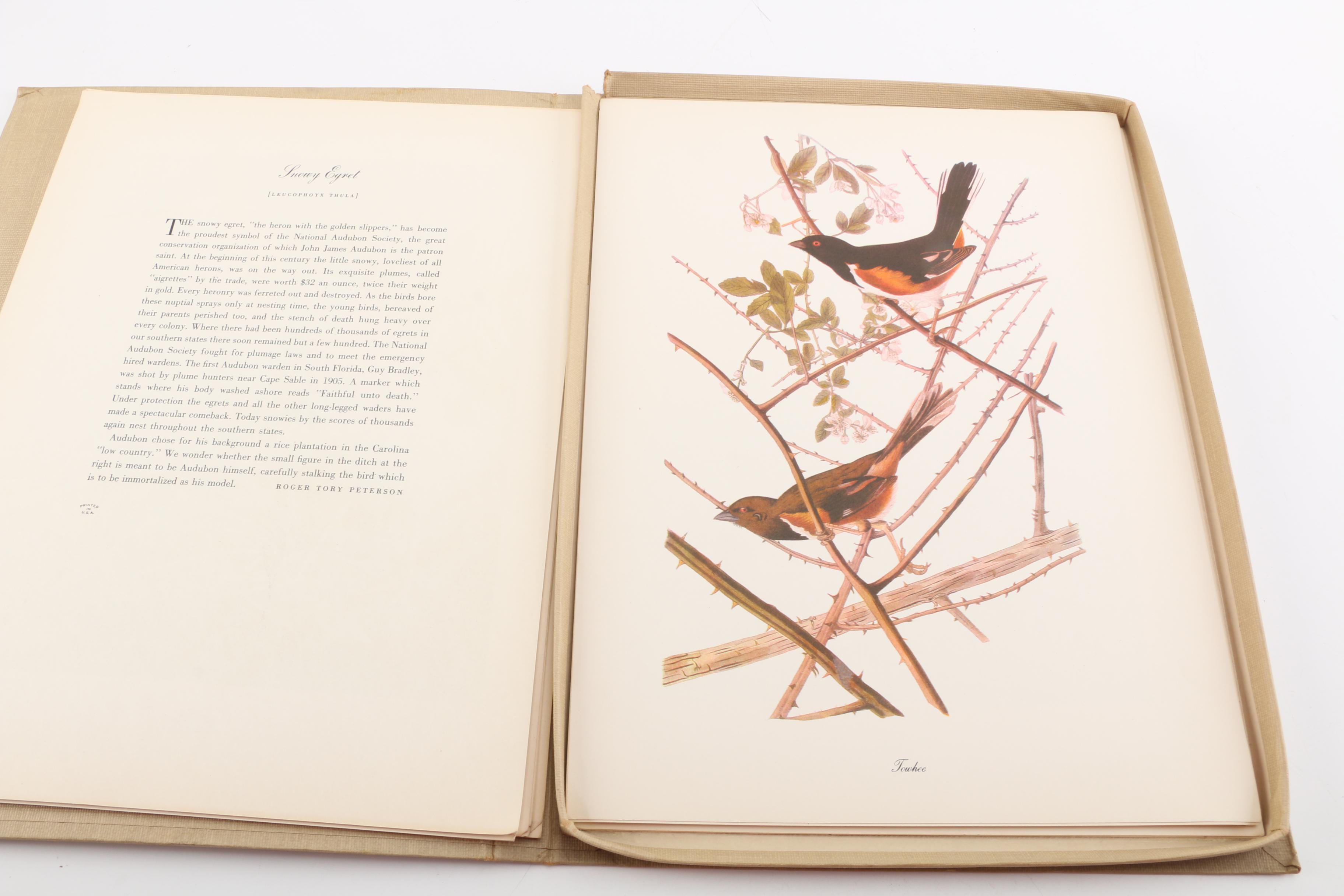 Audubon "Birds of America" Offset Lithographs After John James Audubon