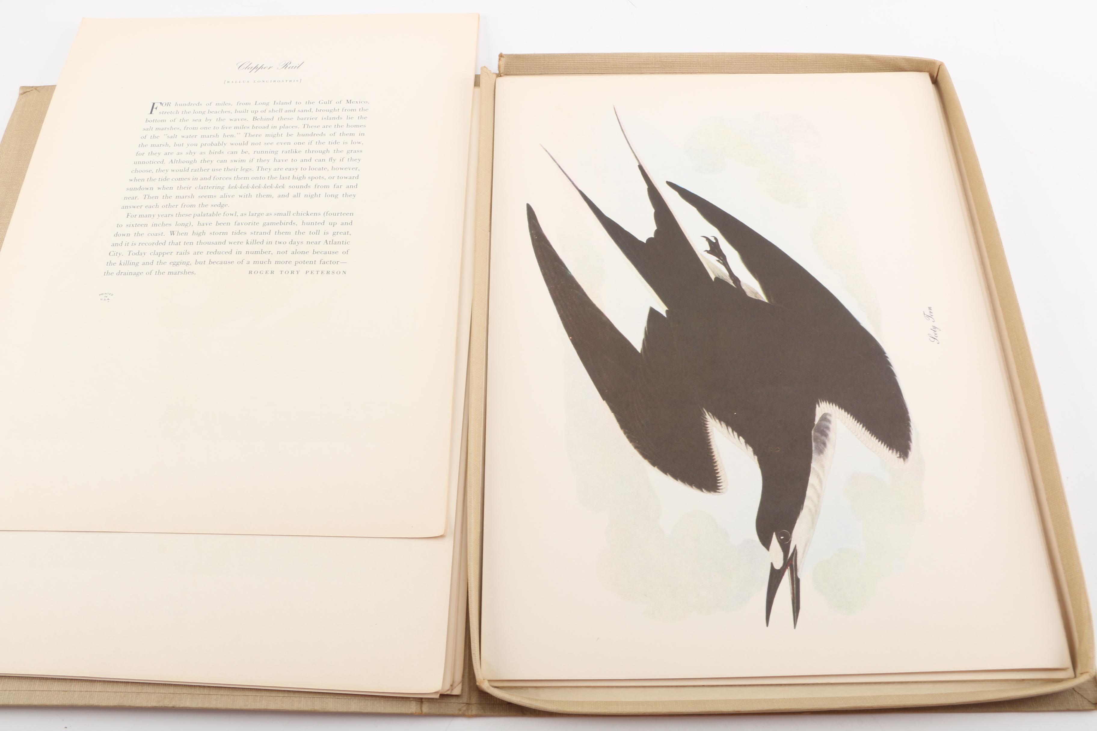 Audubon "Birds of America" Offset Lithographs After John James Audubon