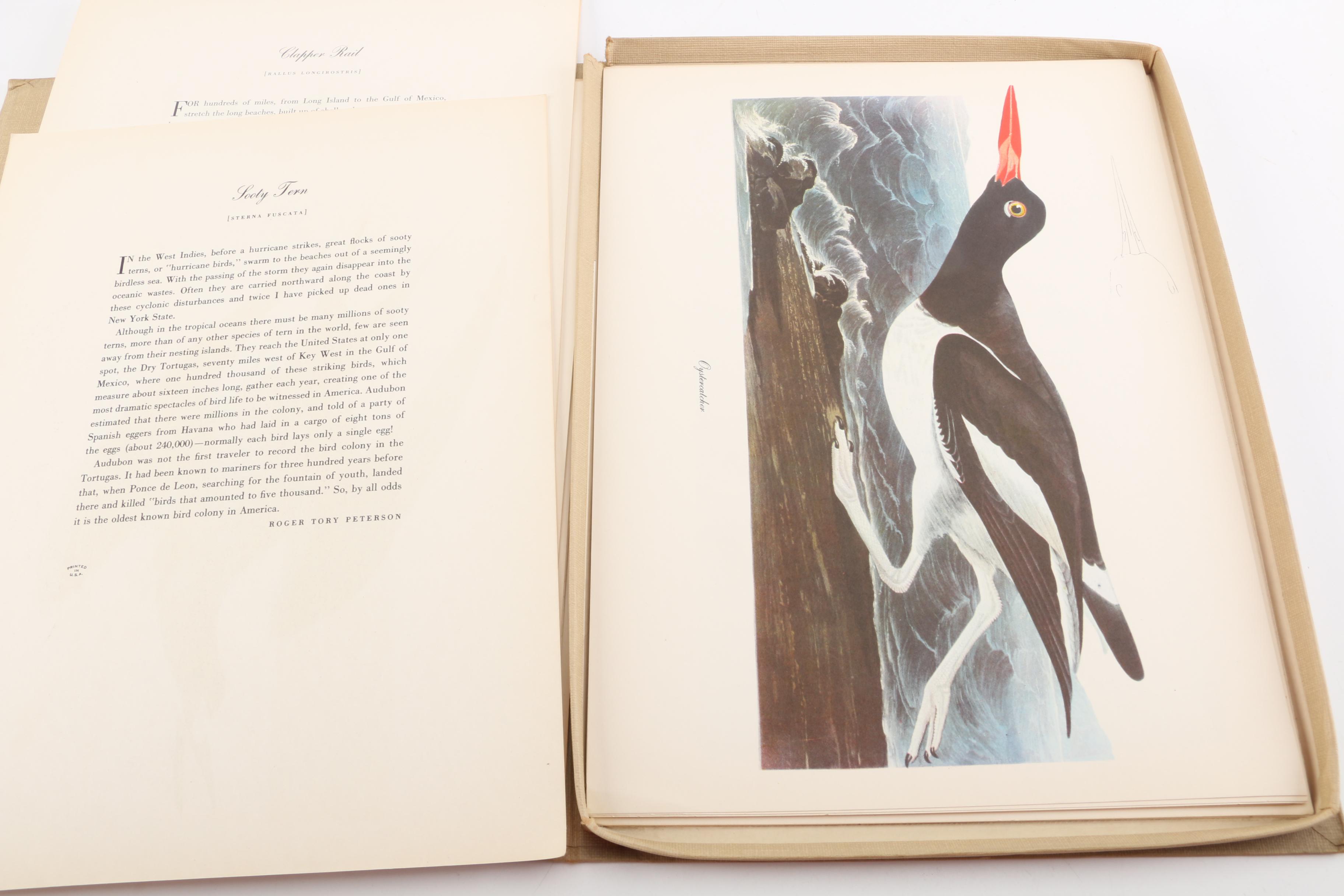 Audubon "Birds of America" Offset Lithographs After John James Audubon
