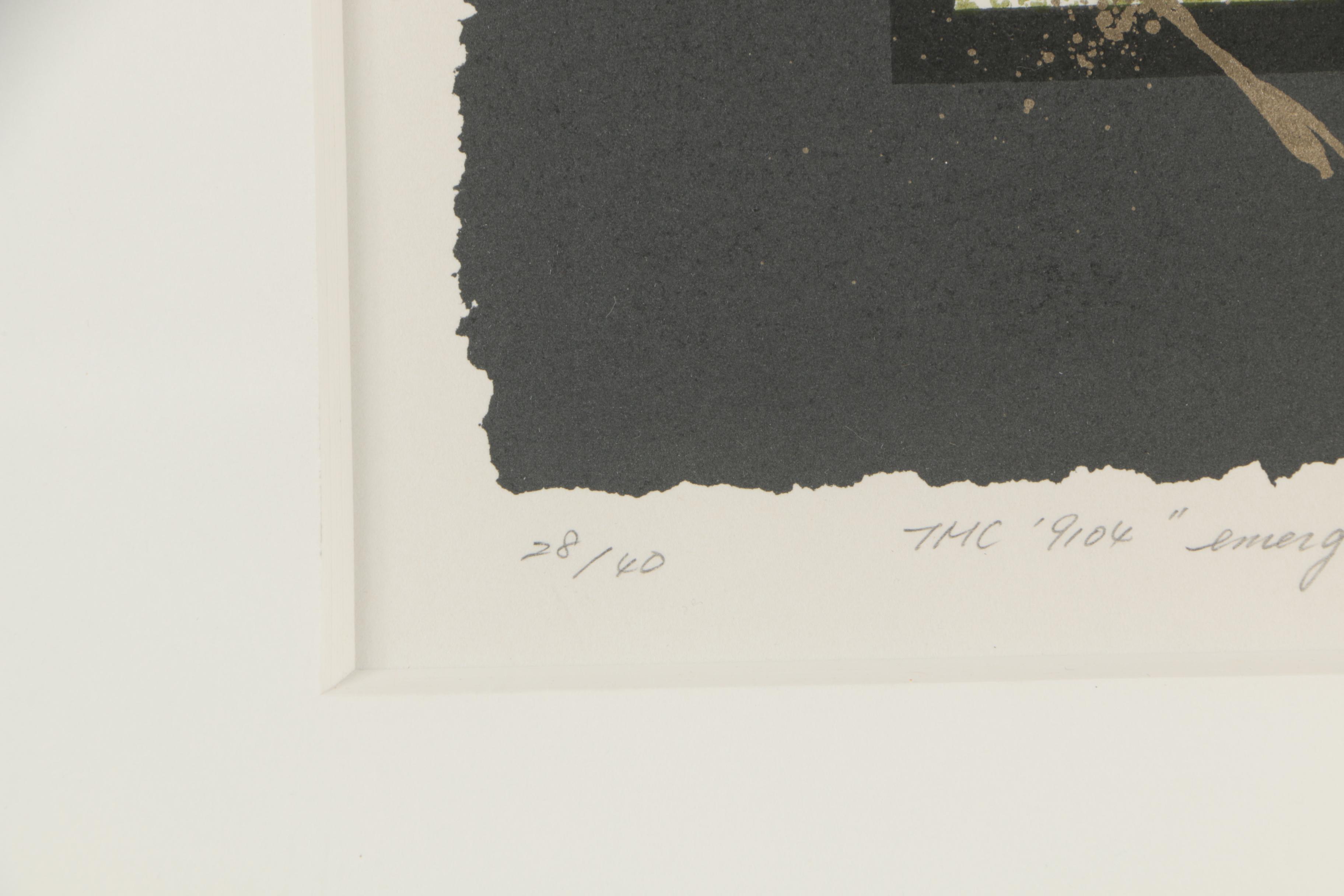 Nishikawa Yoichiro Lithograph "Emergence '92"