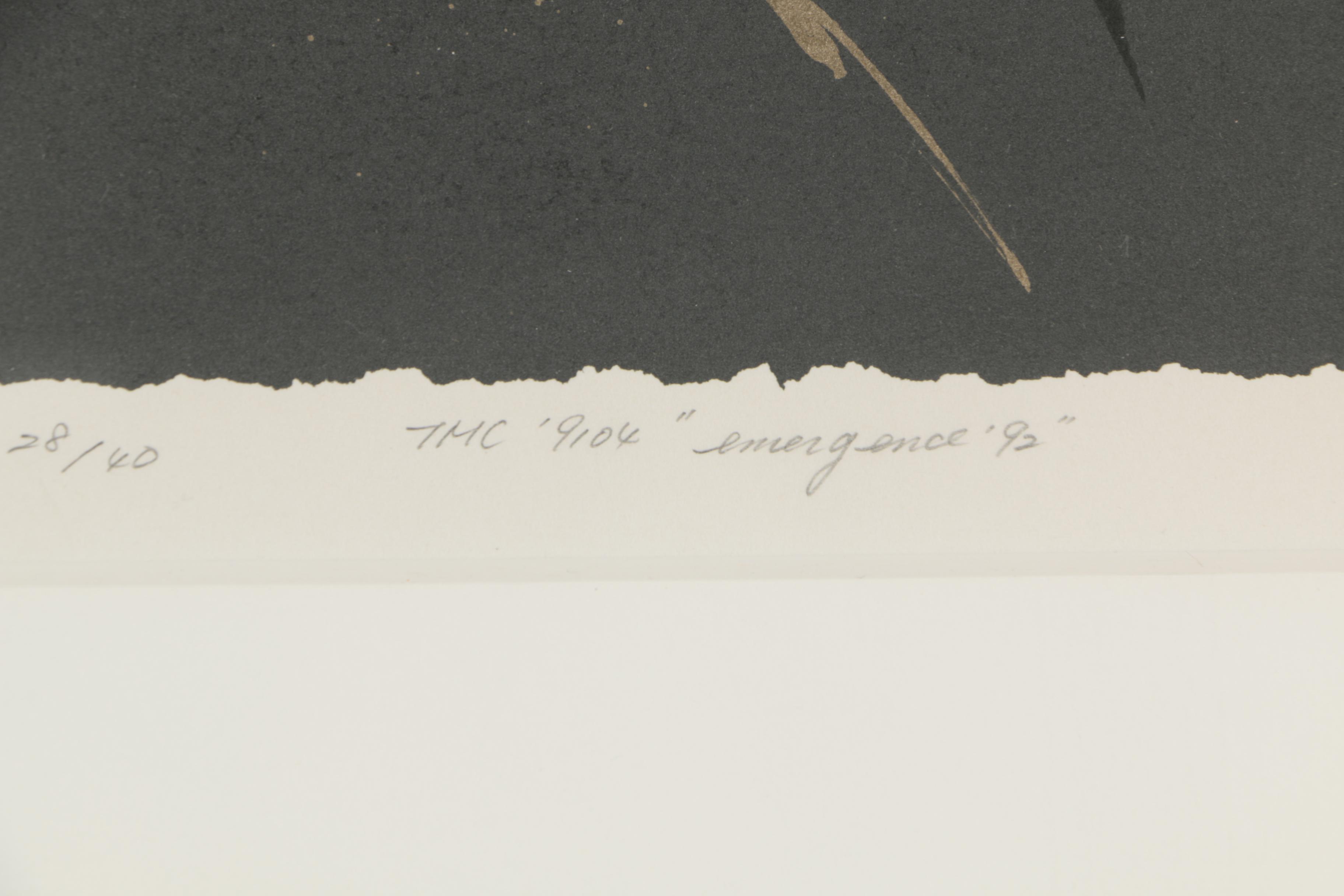 Nishikawa Yoichiro Lithograph "Emergence '92"