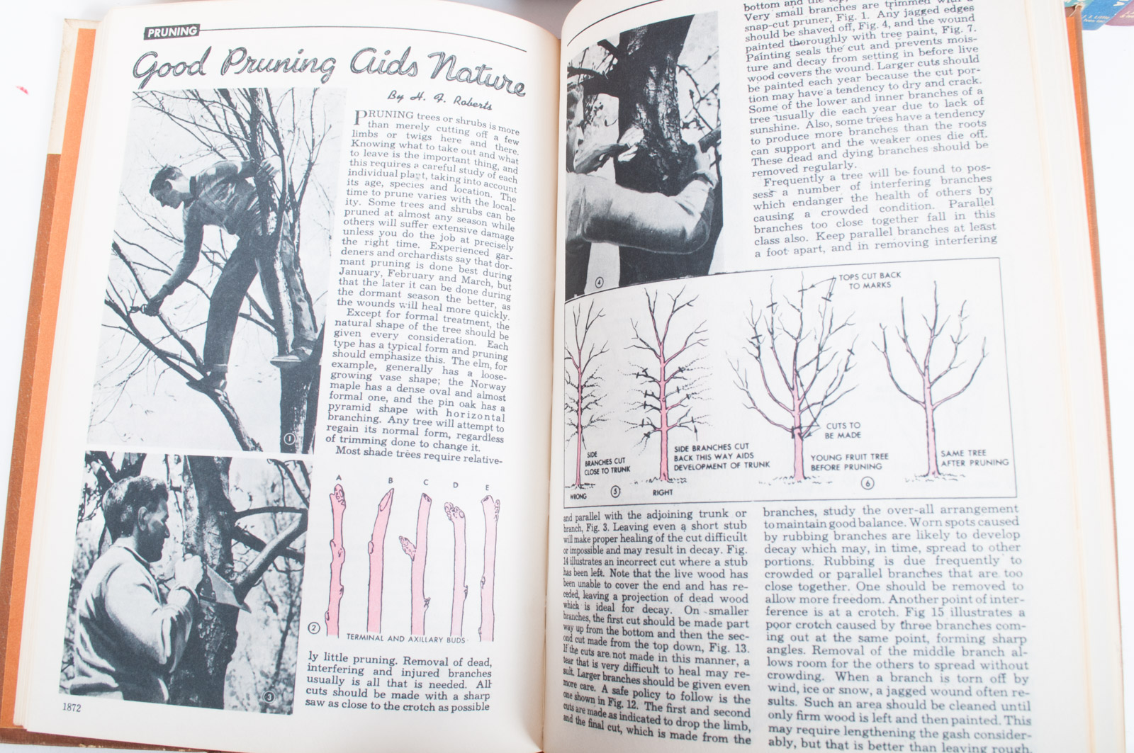 Vintage "Popular Mechanics Illustrated Home Handyman Encyclopedia and Guide"