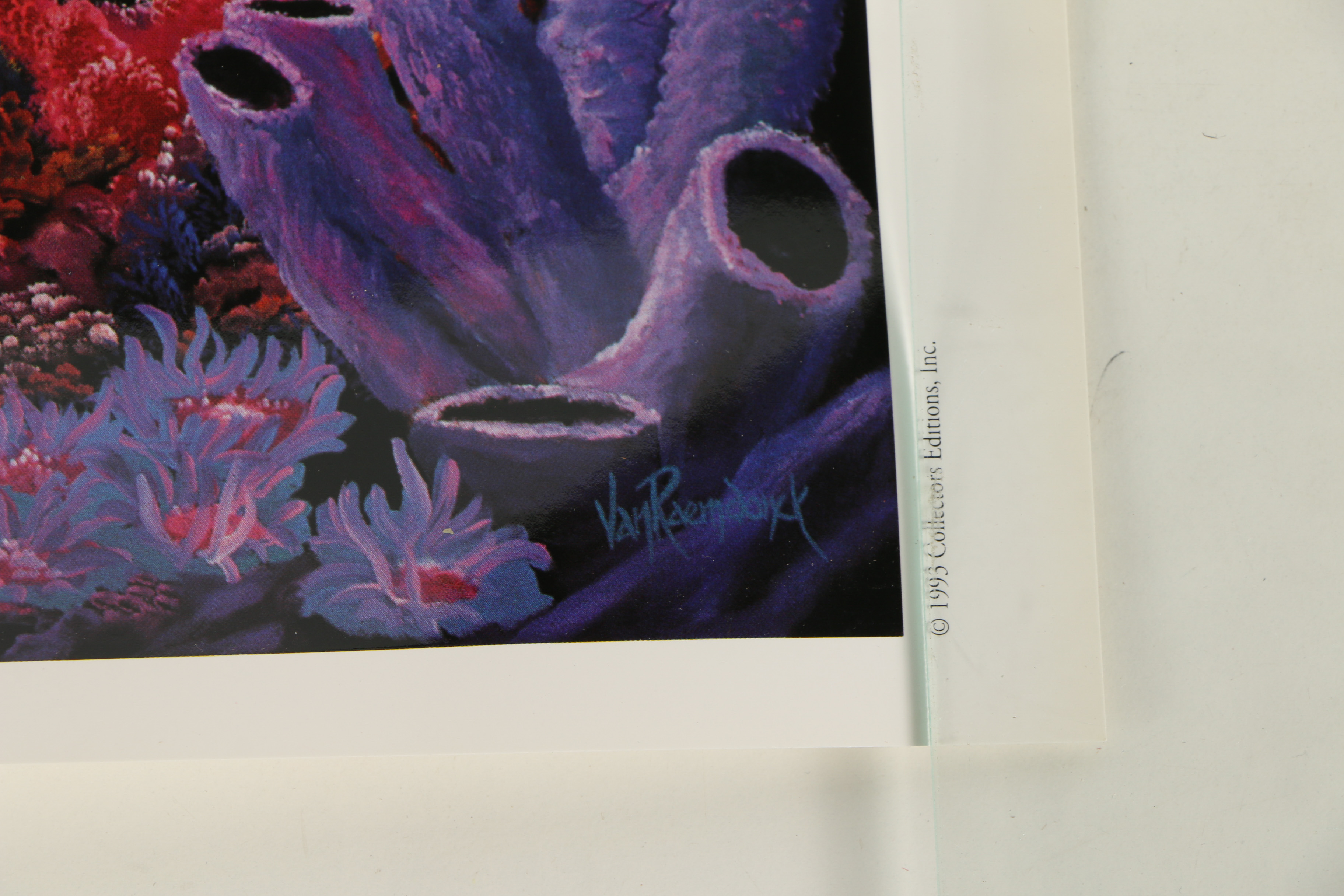 1993 Offset Lithograph After Eric Van Raemdonck "Gratitude"