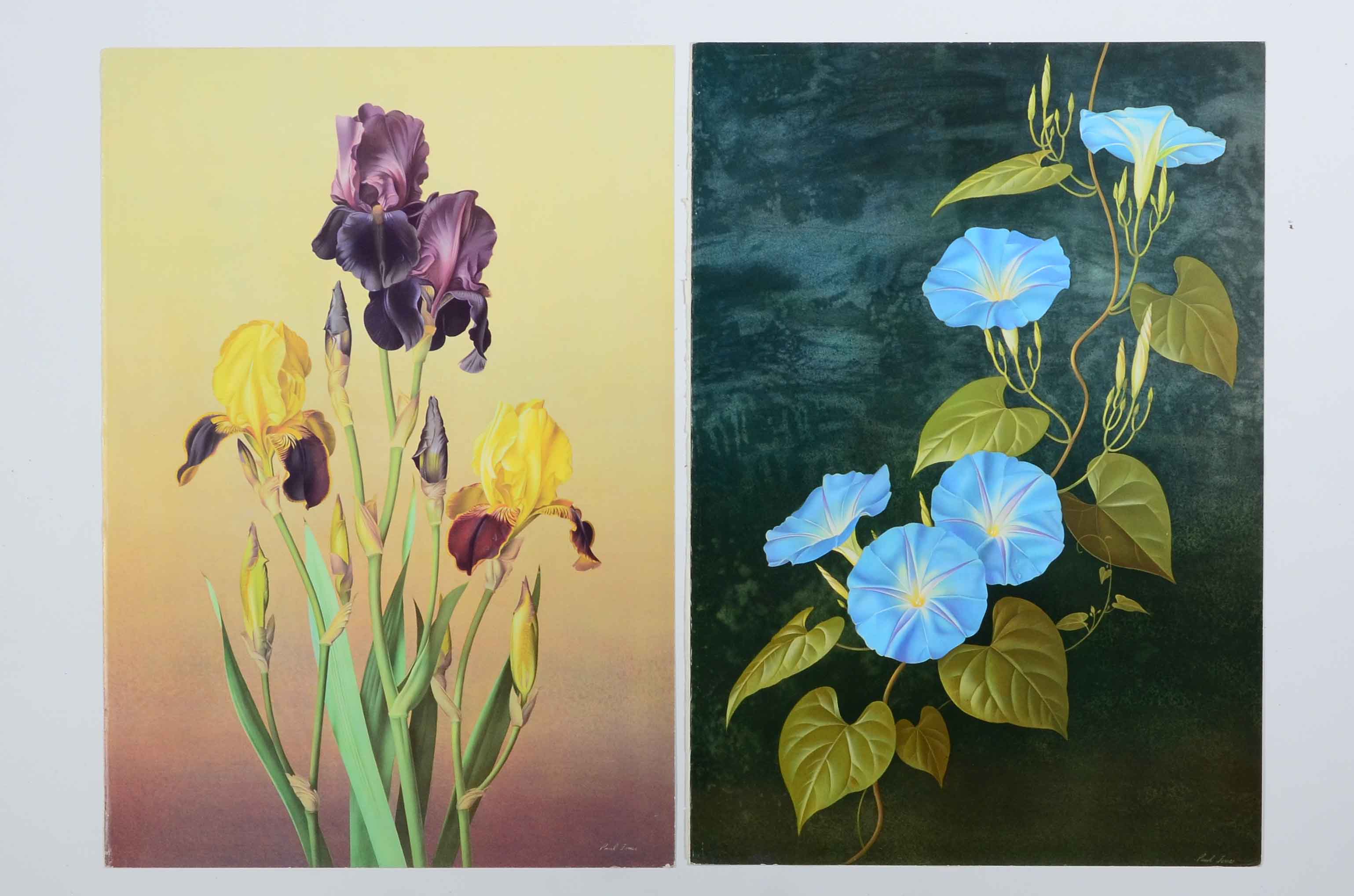Offset Lithographs After Paul Jones from "Flora Magnifica" and "Flora Superba"