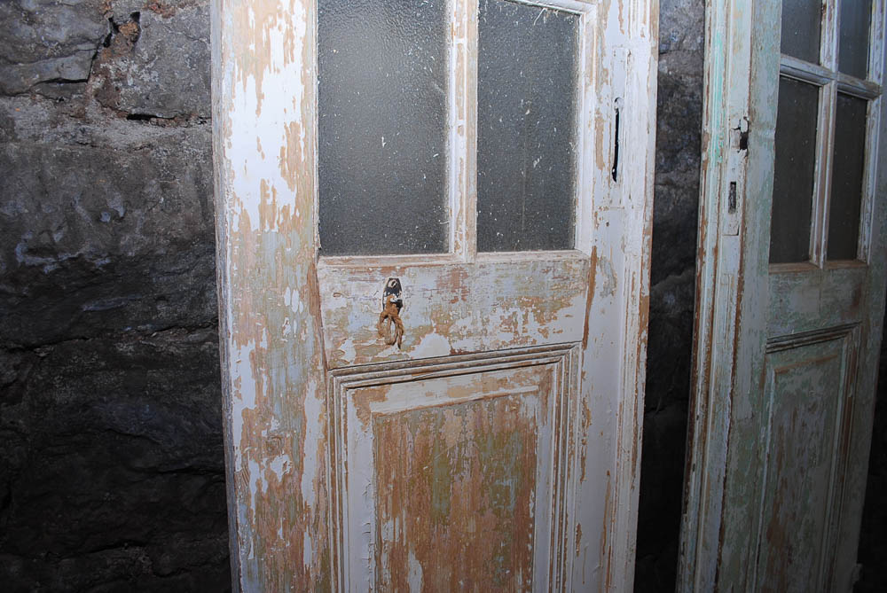 Vintage French Doors