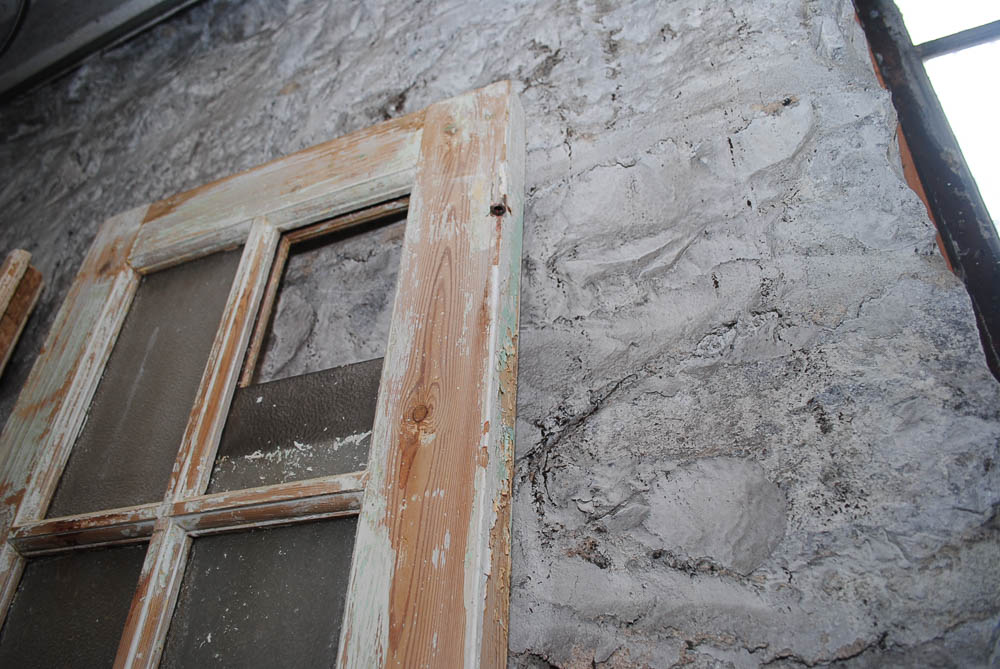 Vintage French Doors