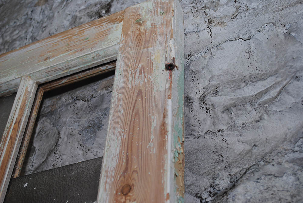 Vintage French Doors