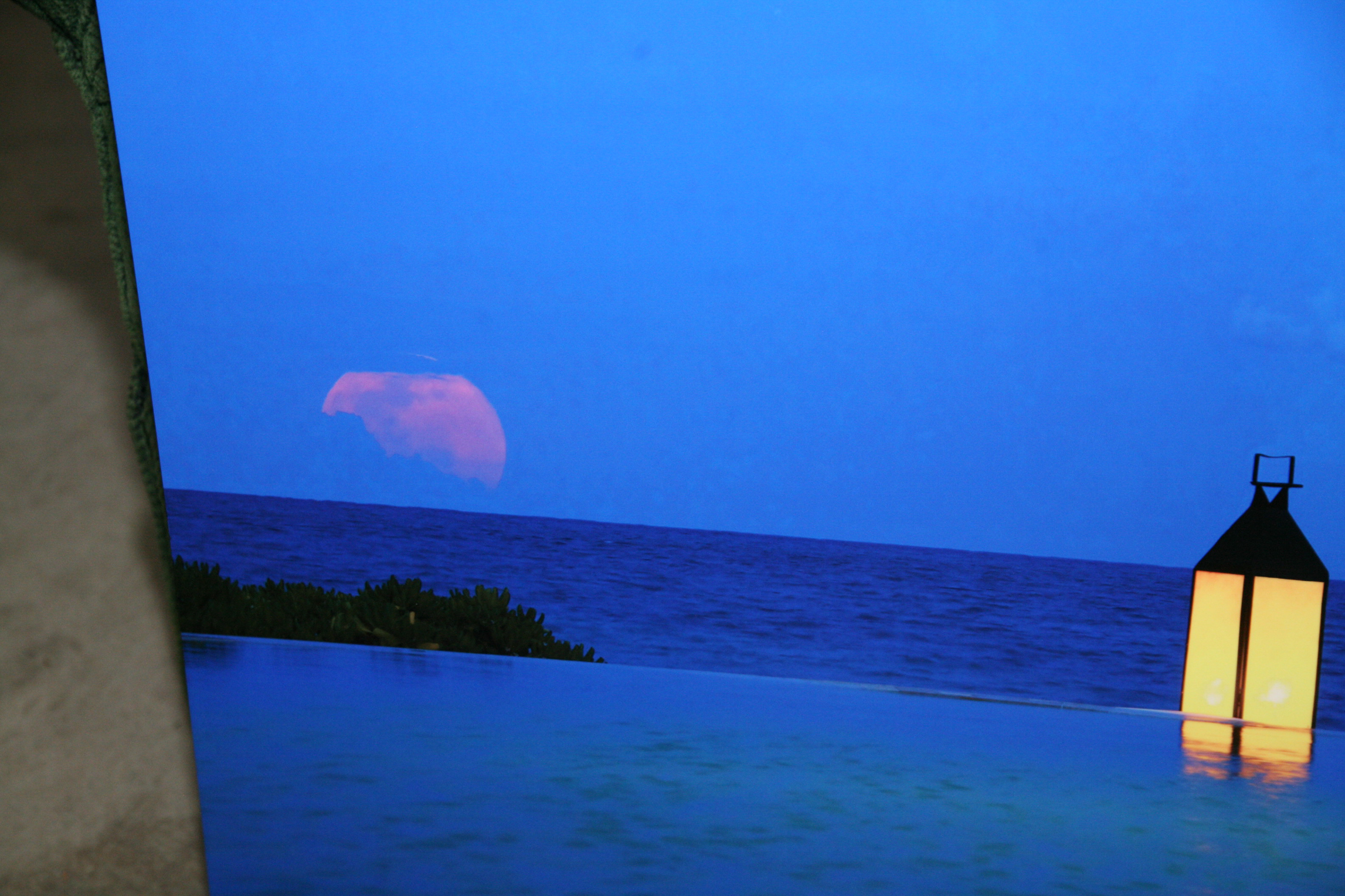 Paula J. Color Photograph of Seascape