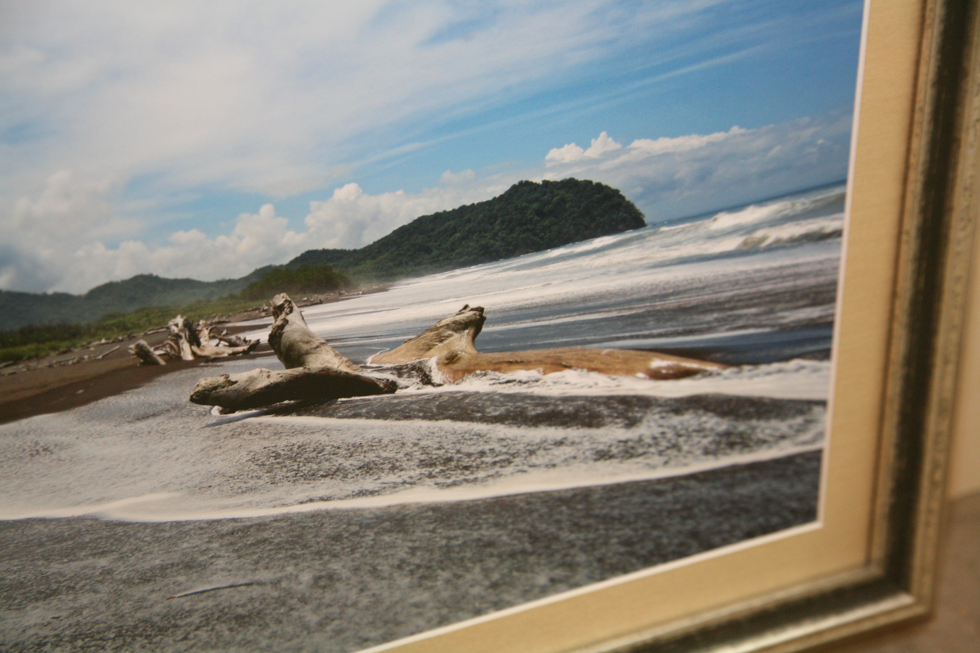 Photograph of Coastal Landscape