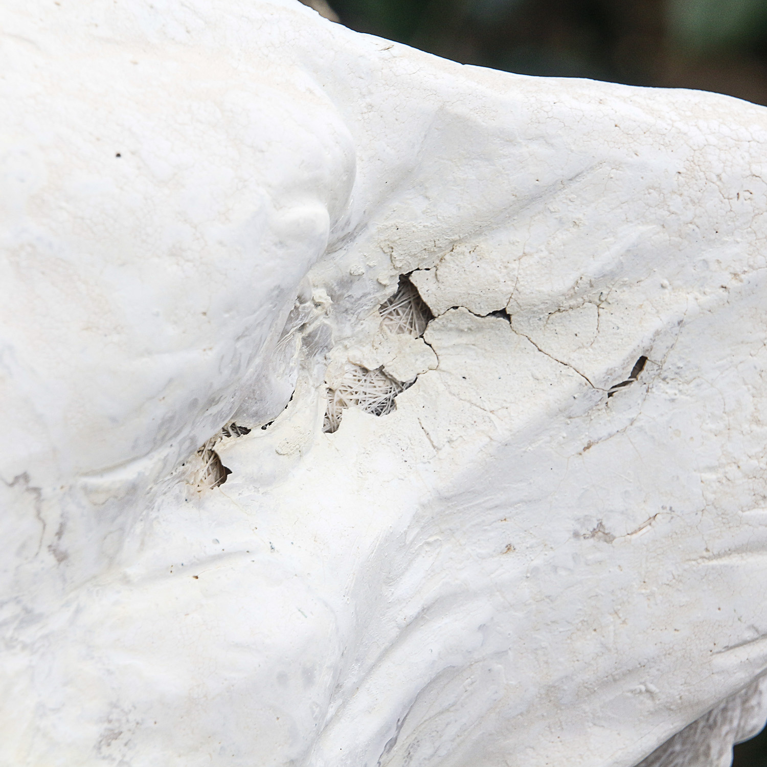 Cast Cement Garden Lion Statues