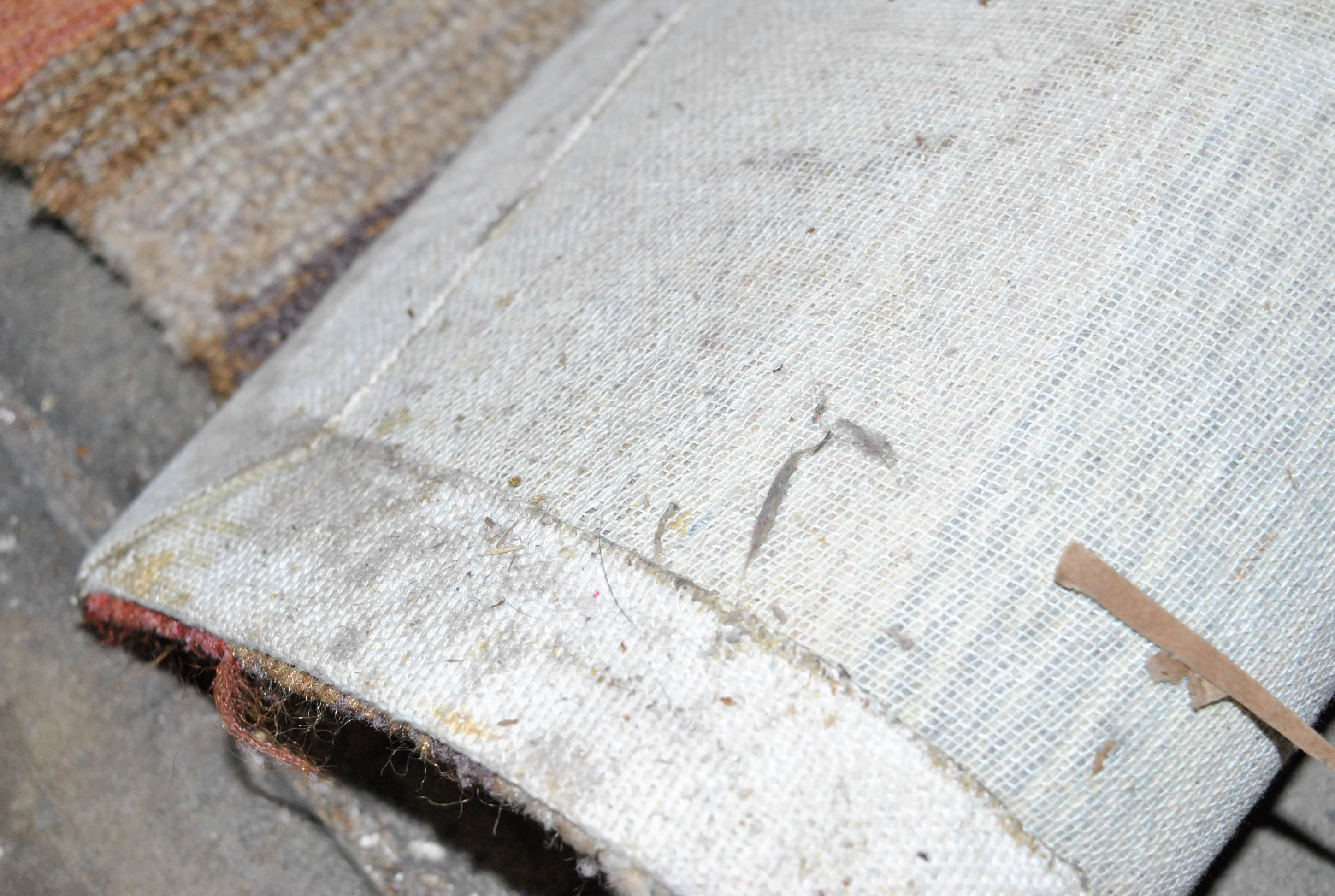 Machine Made Contemporary Area Rug