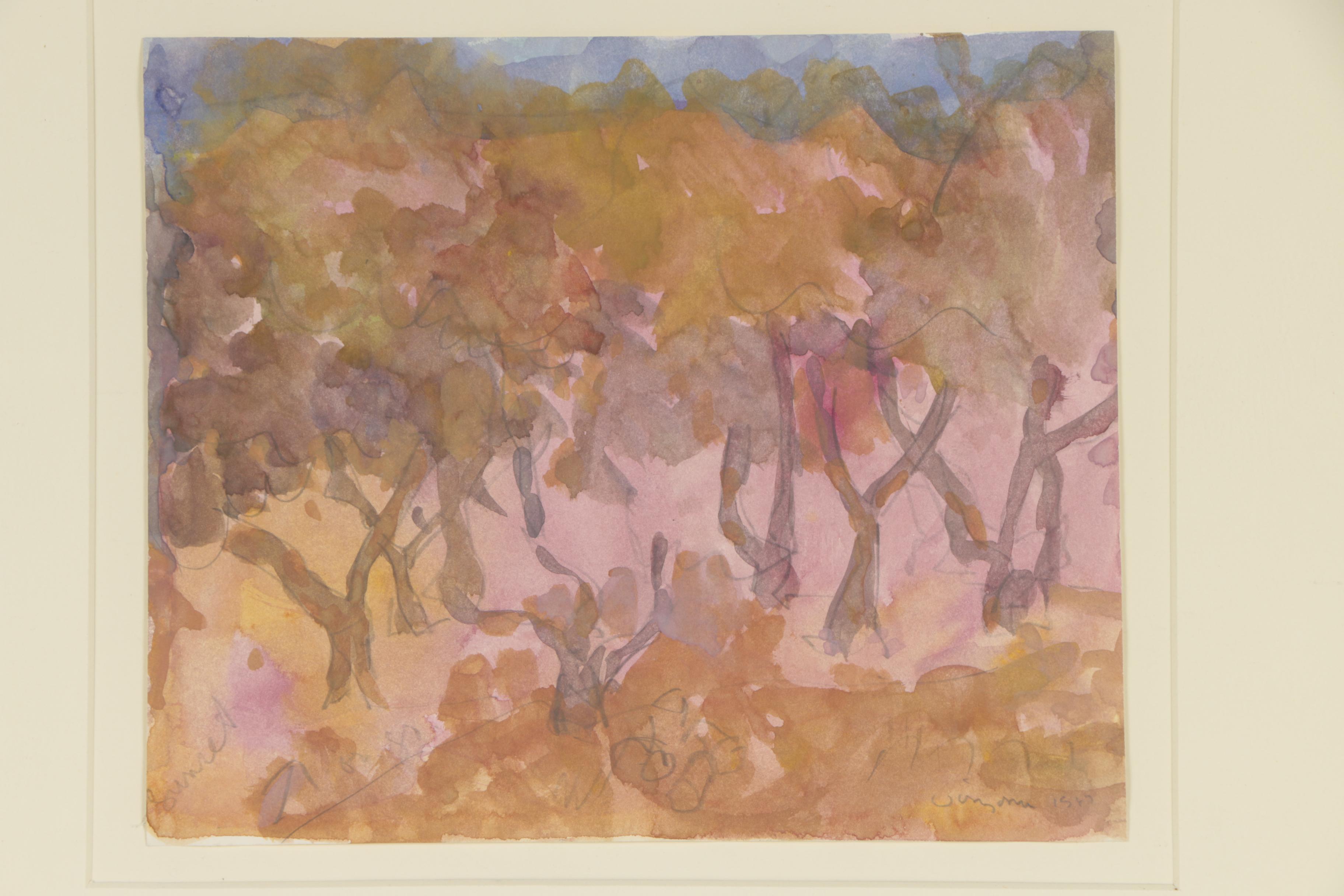 Hank Virgona 1987 Watercolor Painting "John's Avocado Ranch"