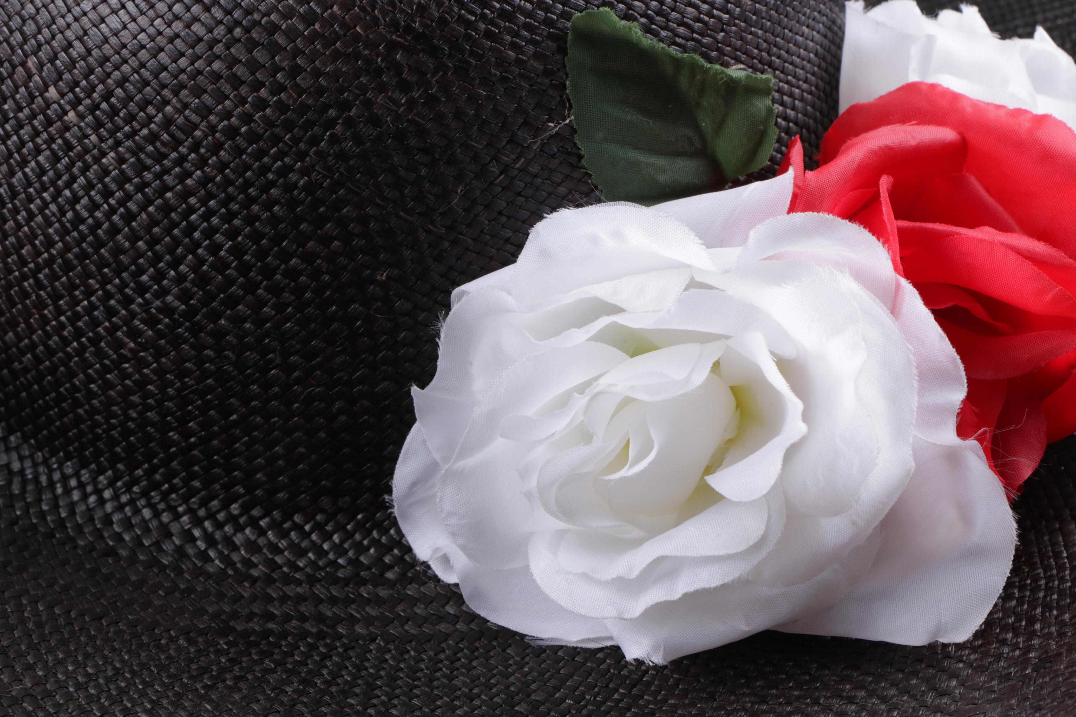 Women's Ecuadorian Black Woven Straw Sun Hat