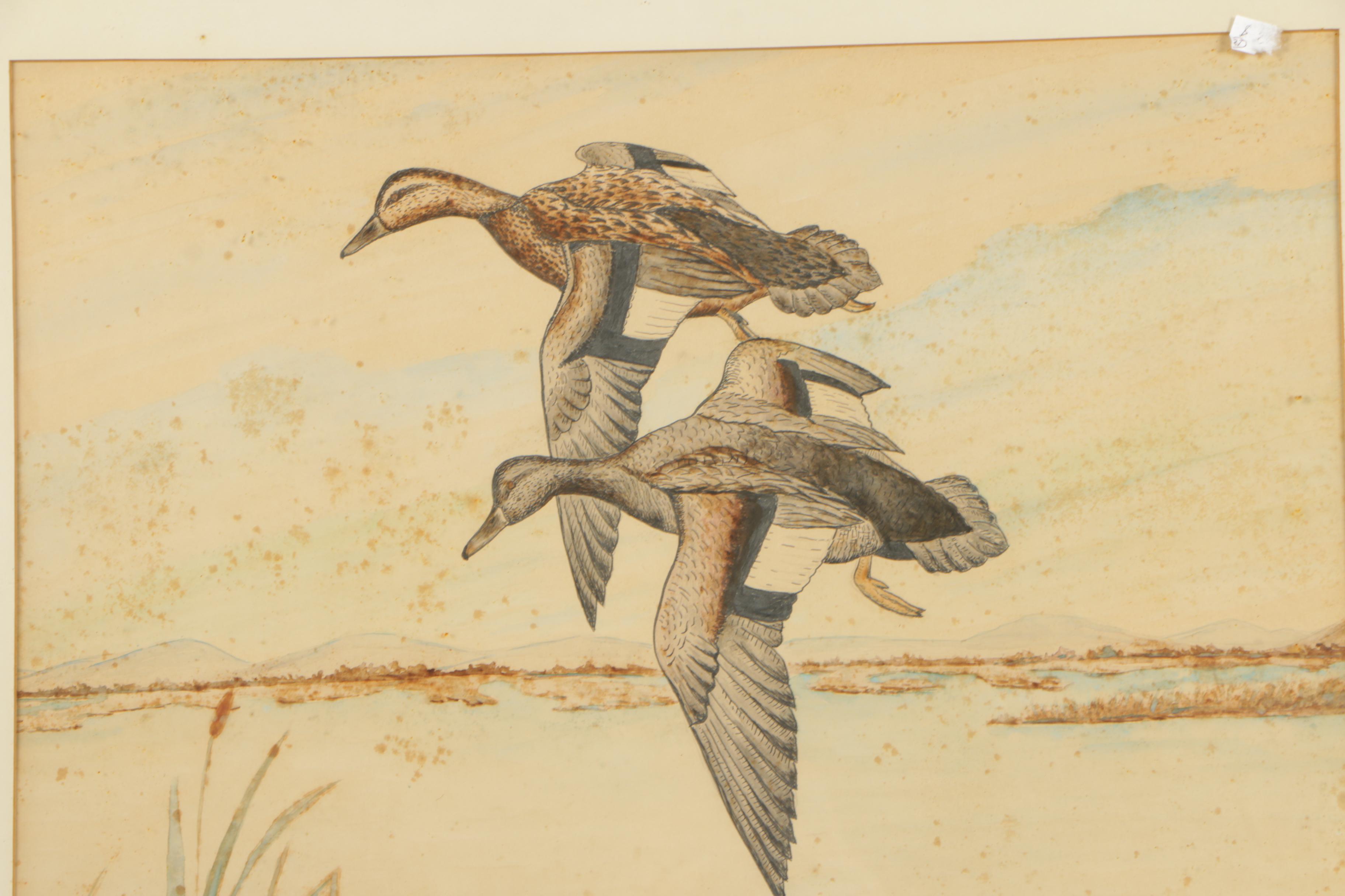 Watercolor Painting of Ducks