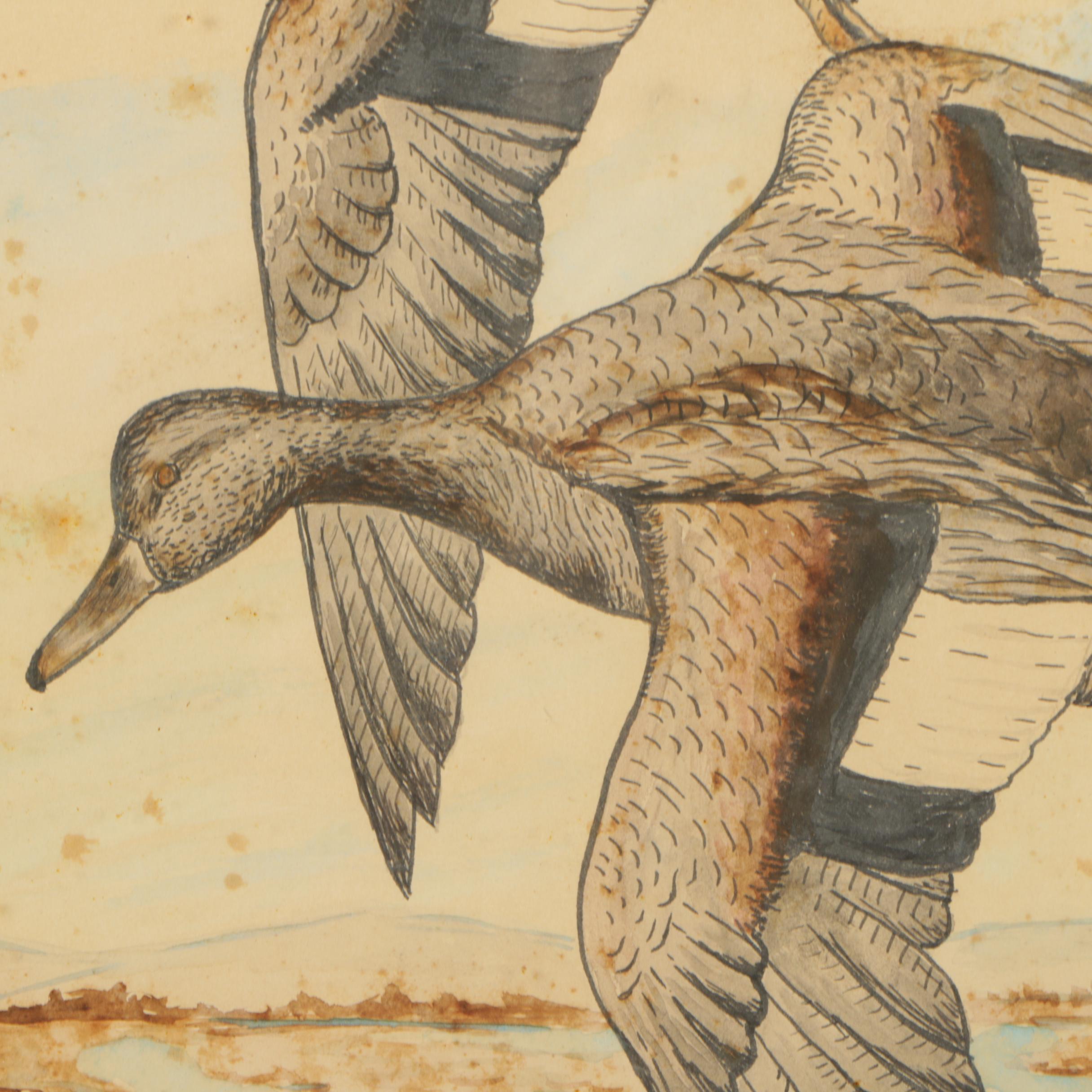 Watercolor Painting of Ducks