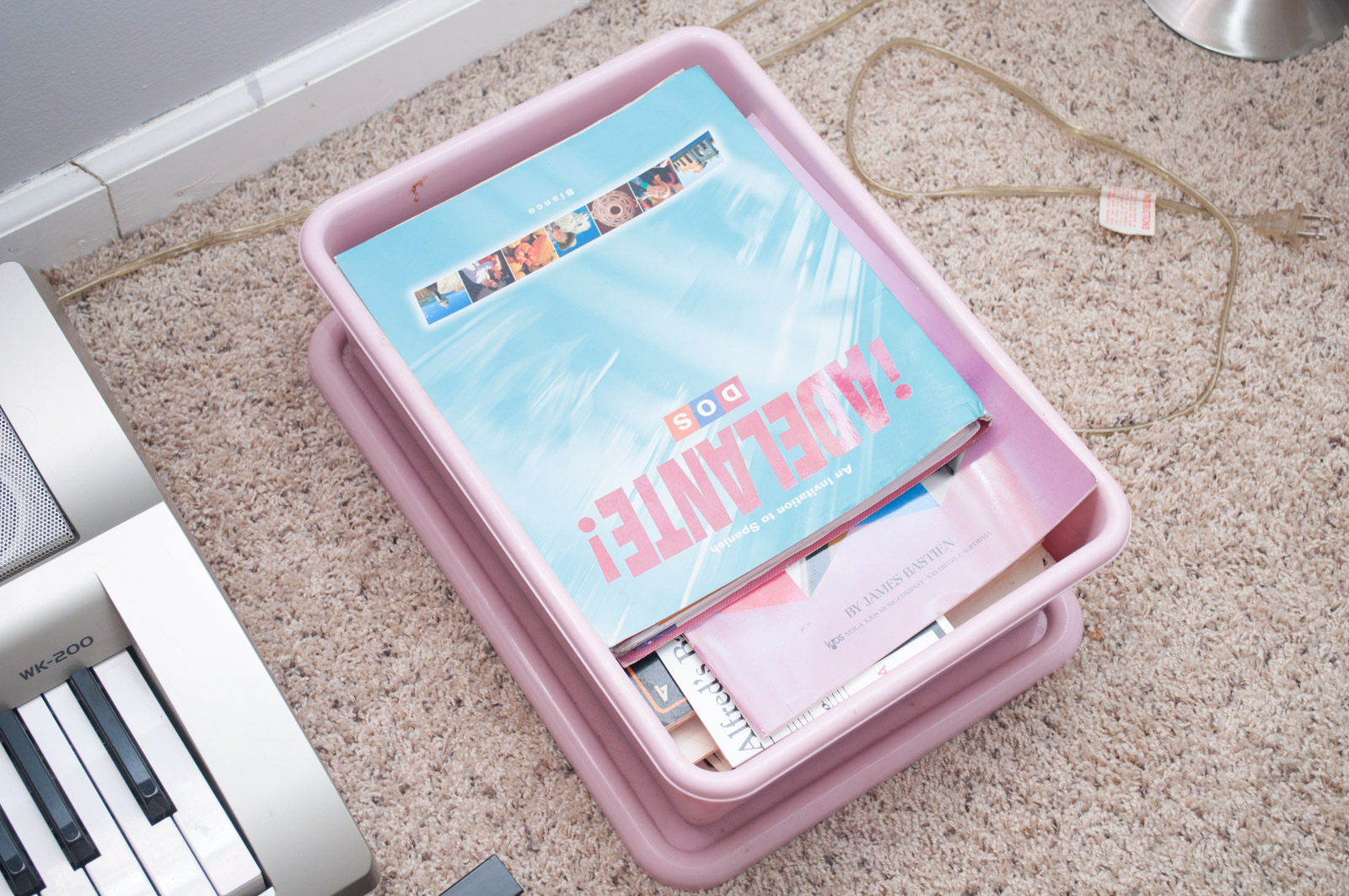 Casio WK-200 Keyboard with Stand