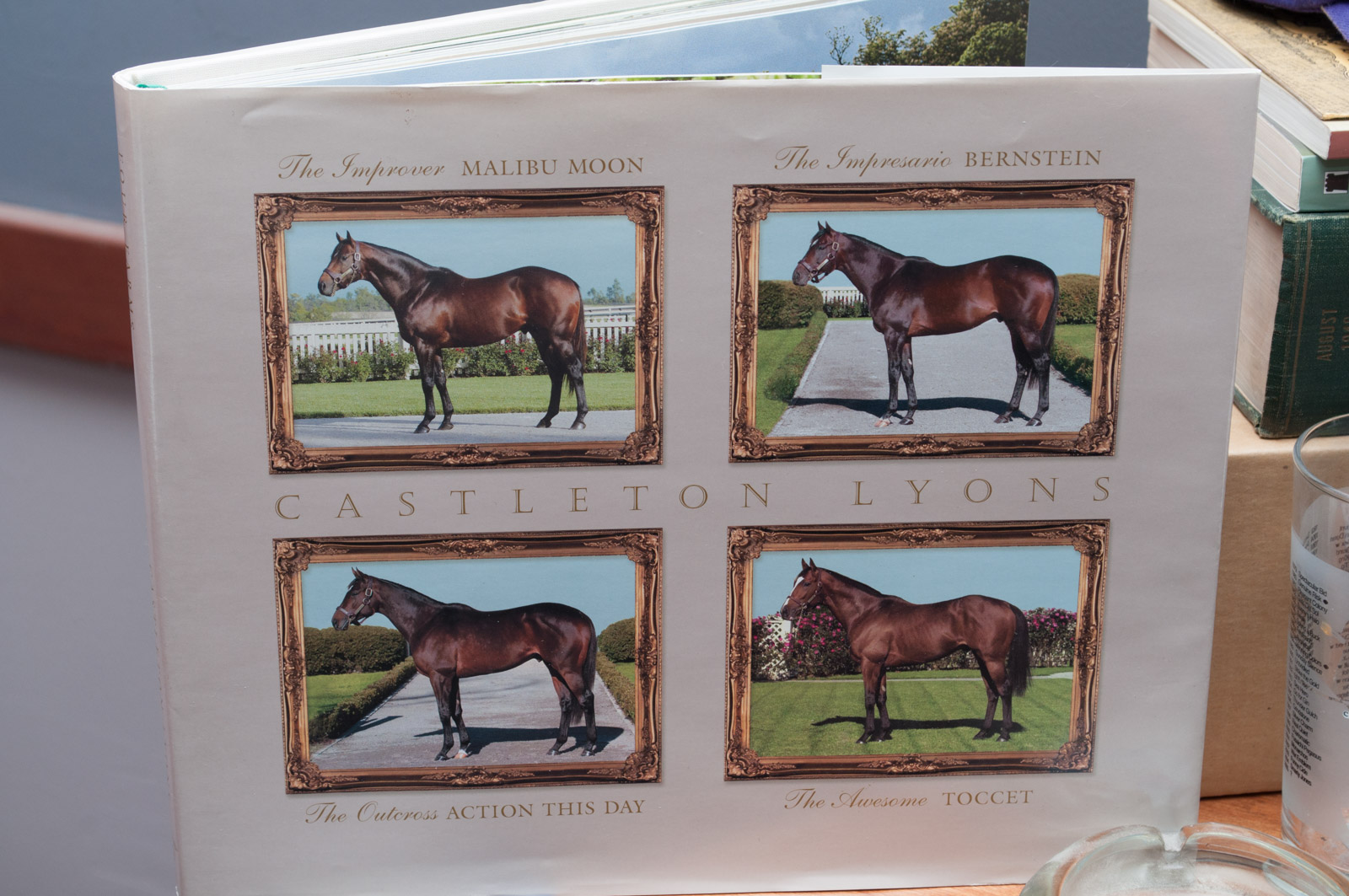 Horse Racing Memorabilia, Including Secretariat Bobbleheads and Kentucky Derby