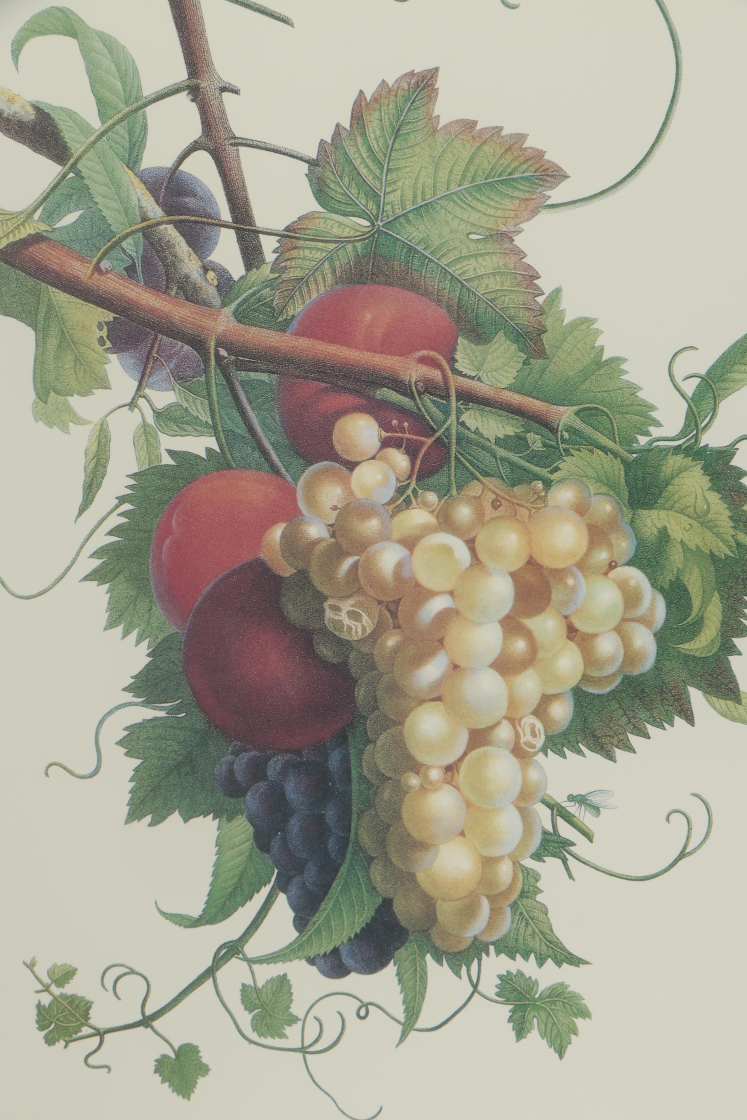 Offset Lithograph After Jean Louis Prévost and Alexandre Chaponnier