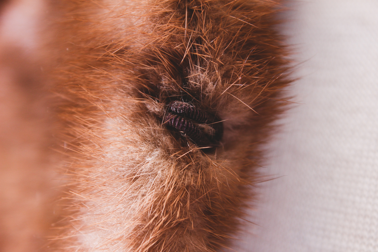 Vintage Todd Brothers Mink Fur Capelet