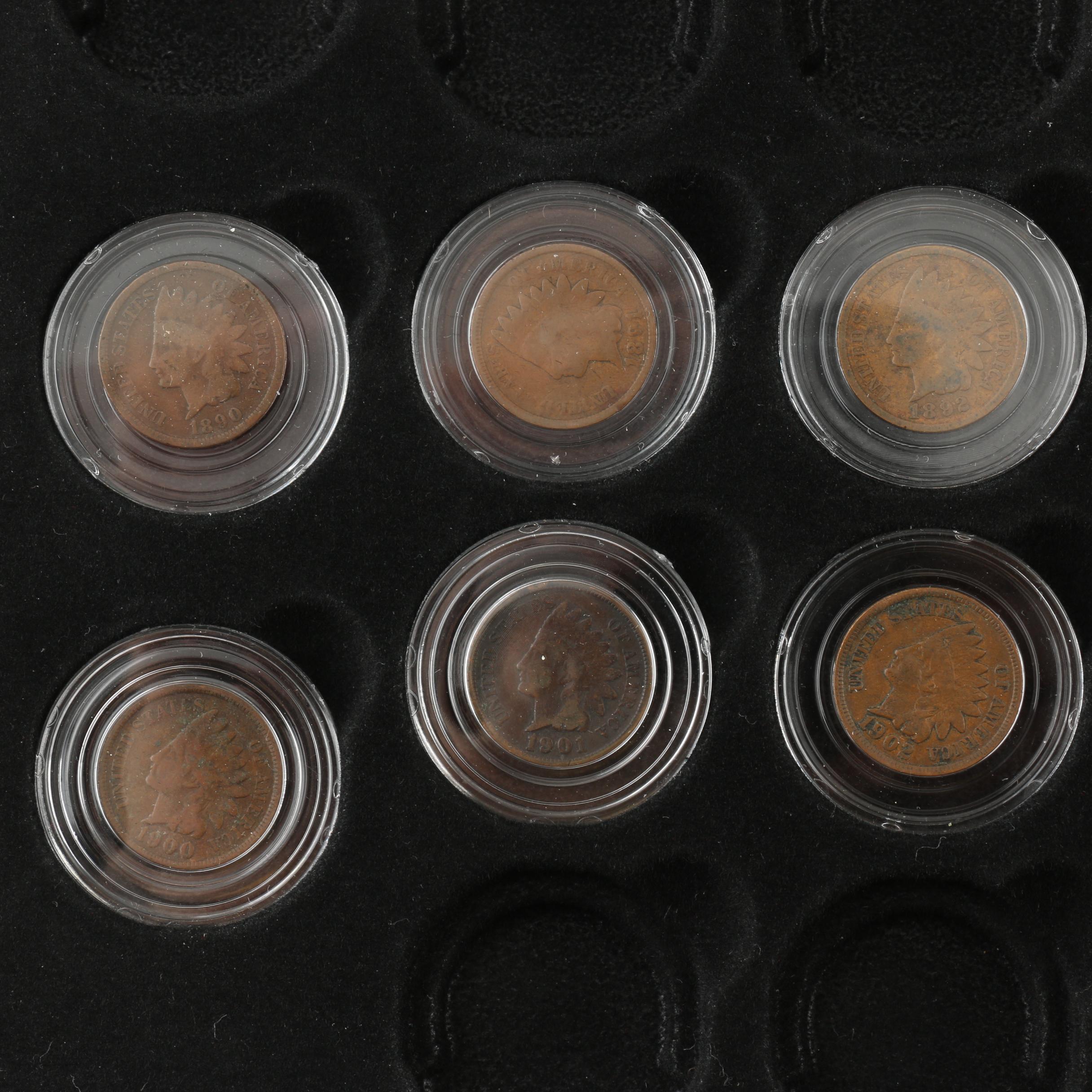 Display Case of Indian Head Cents and Native American Dollar Coins