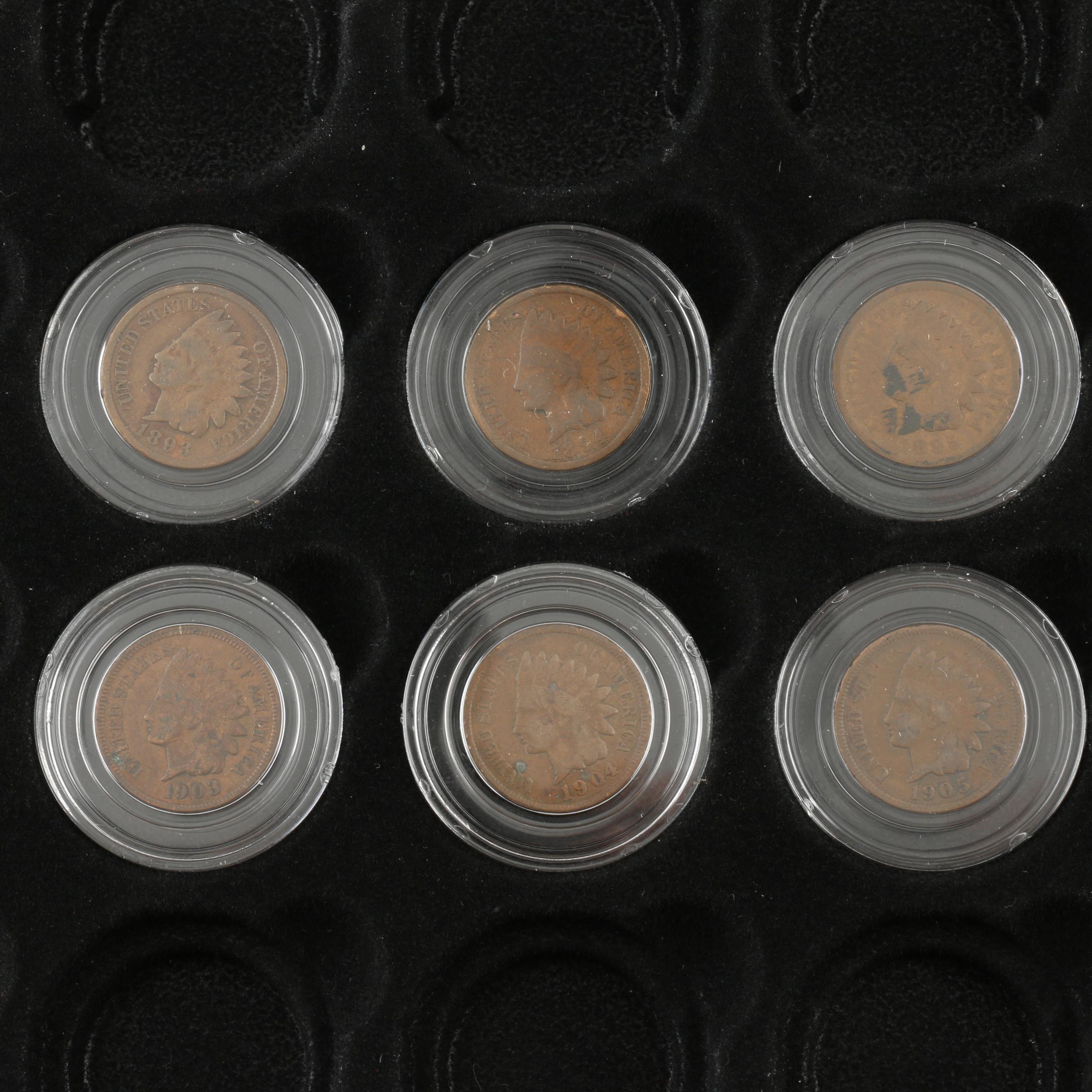 Display Case of Indian Head Cents and Native American Dollar Coins