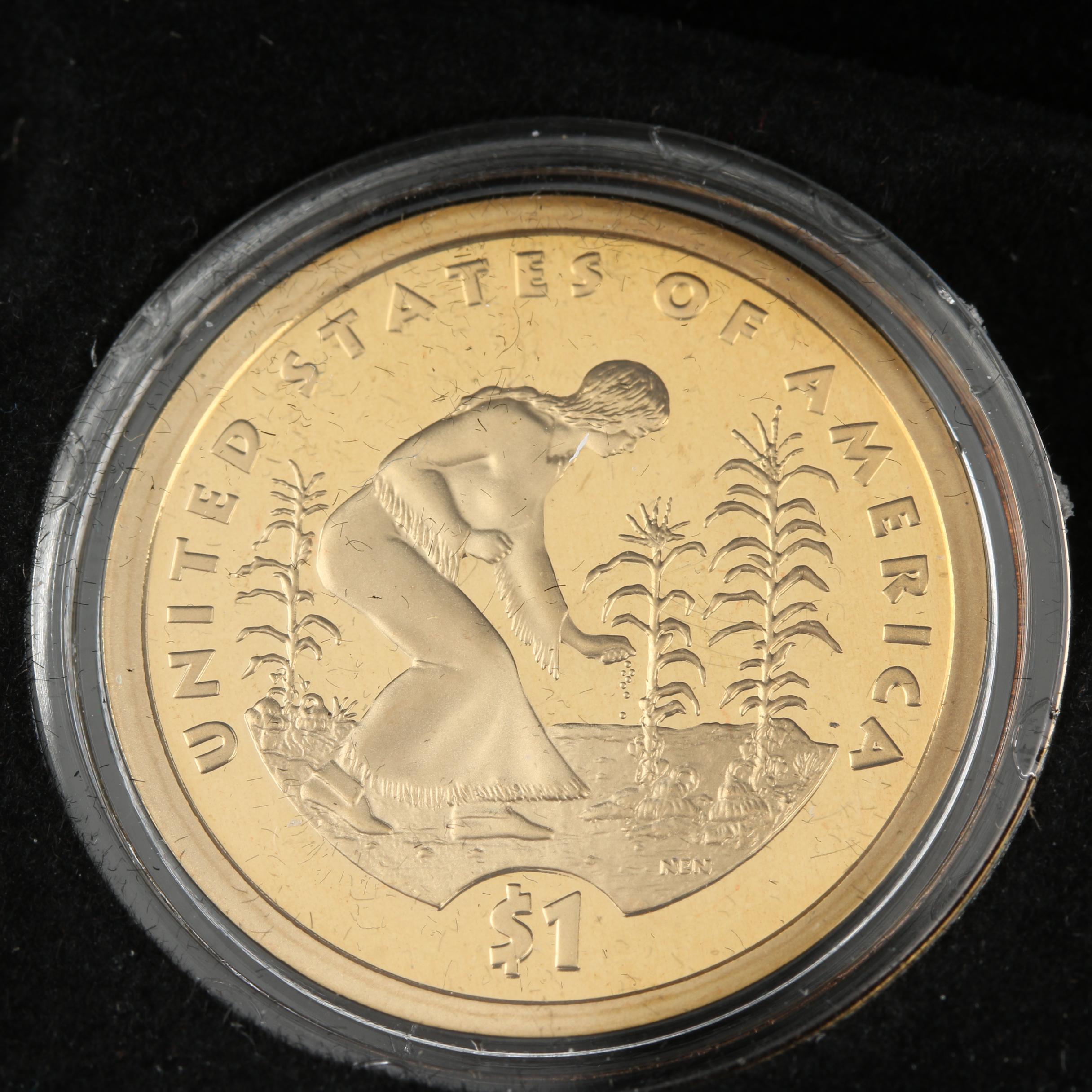 Display Case of Indian Head Cents and Native American Dollar Coins