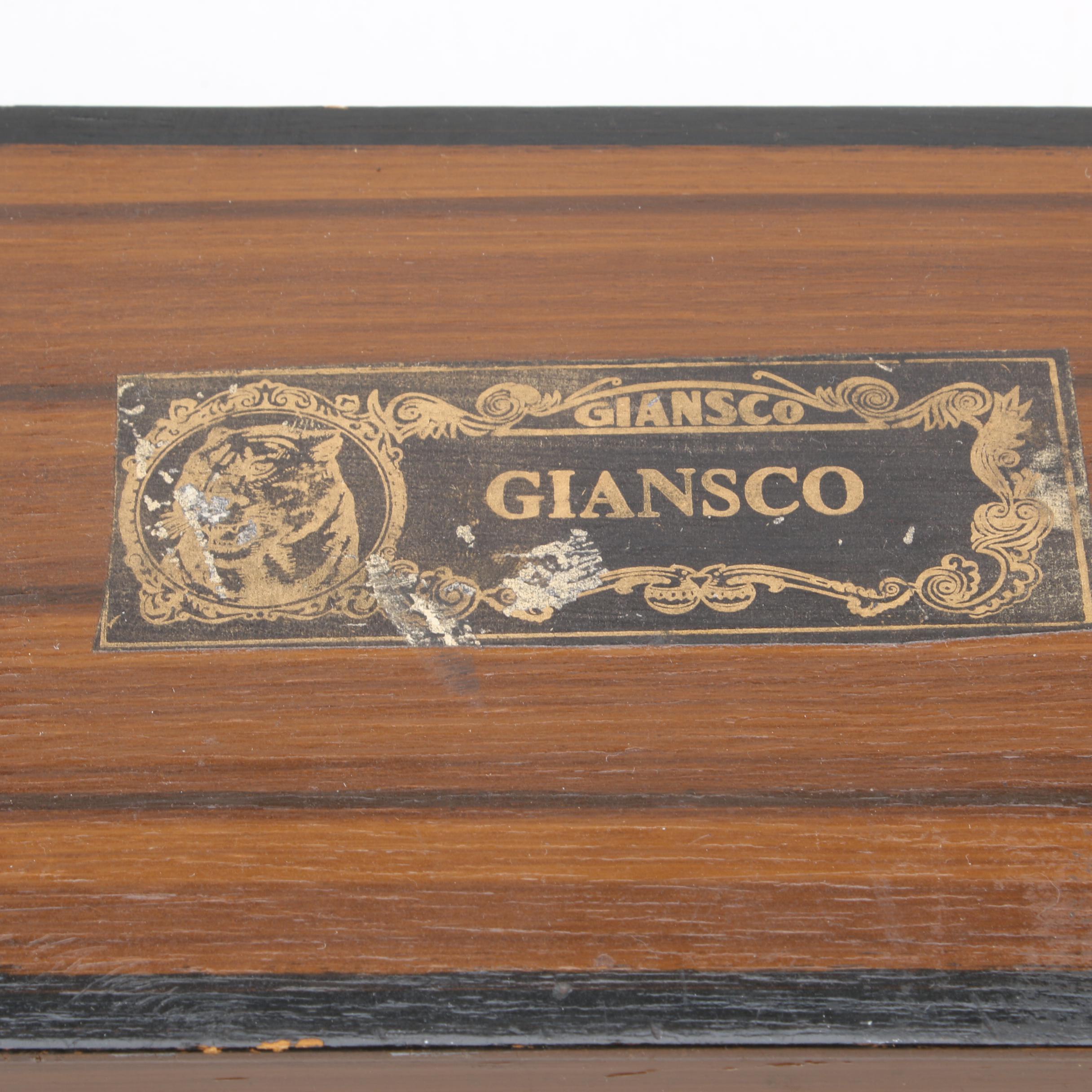 Vintage Giansco Bulbul Tarang Zither