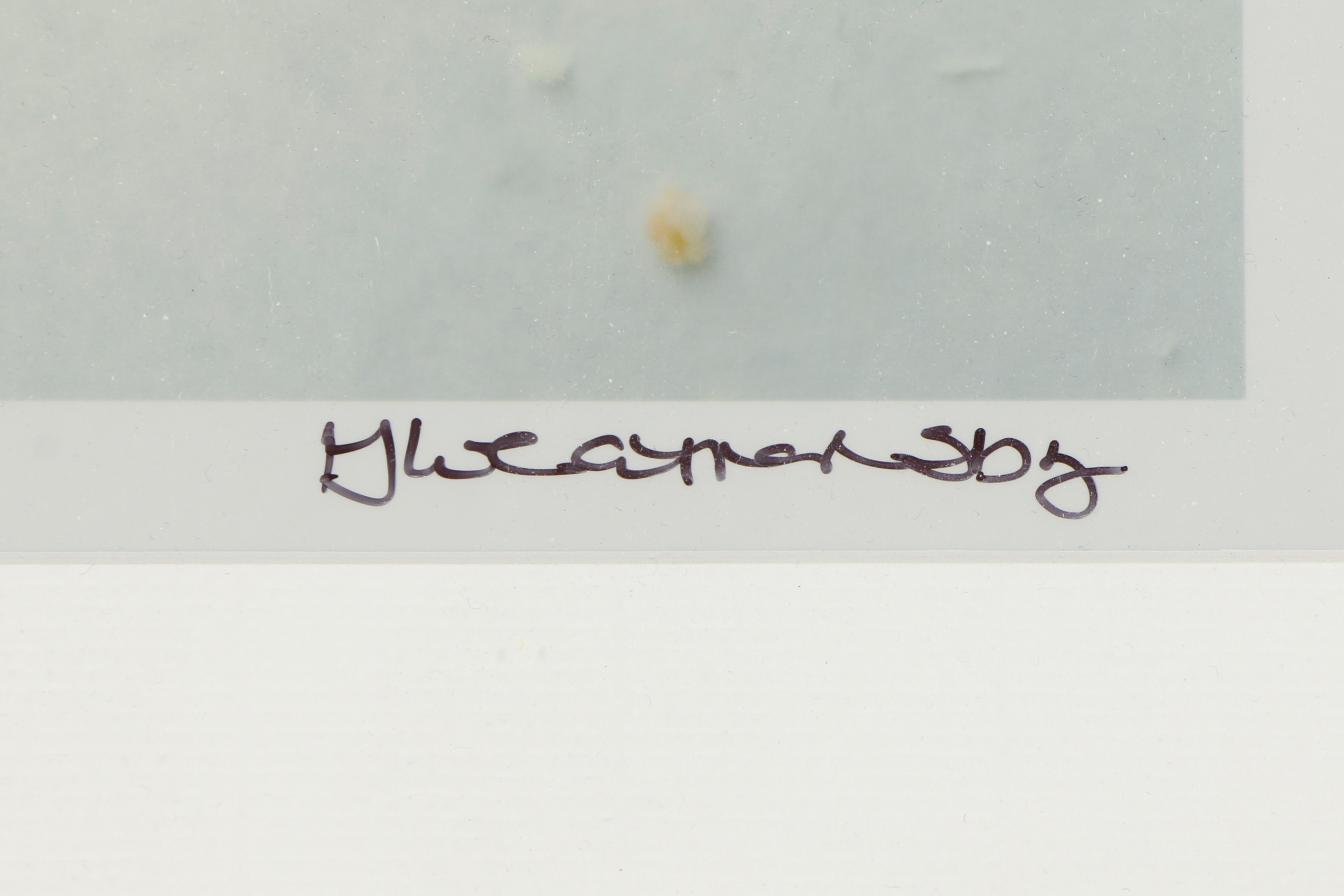 Gina Weathersby Artist's Proof Photograph