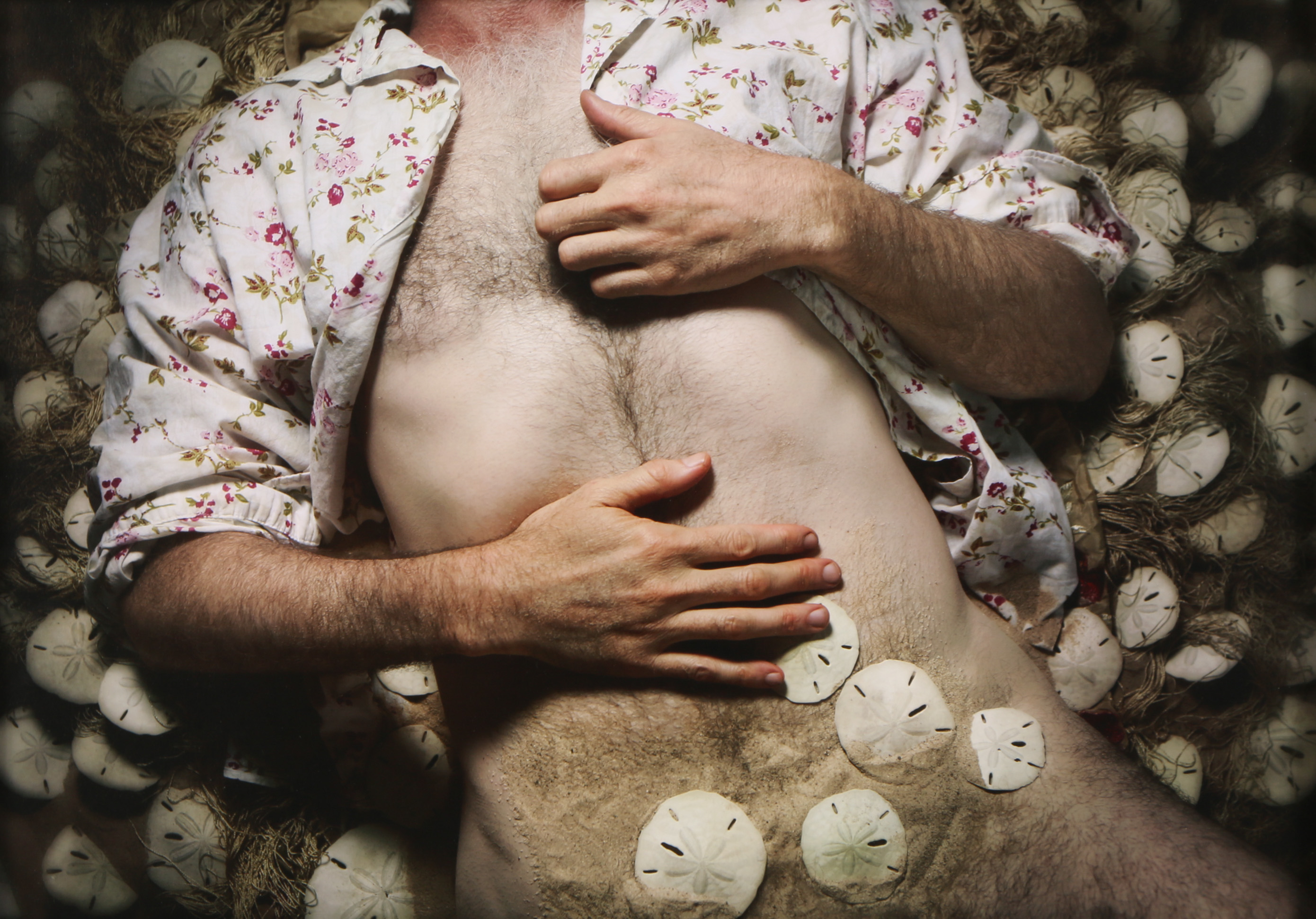 Laura Hartford Digital Photograph "Red Neck and Sand Dollars"