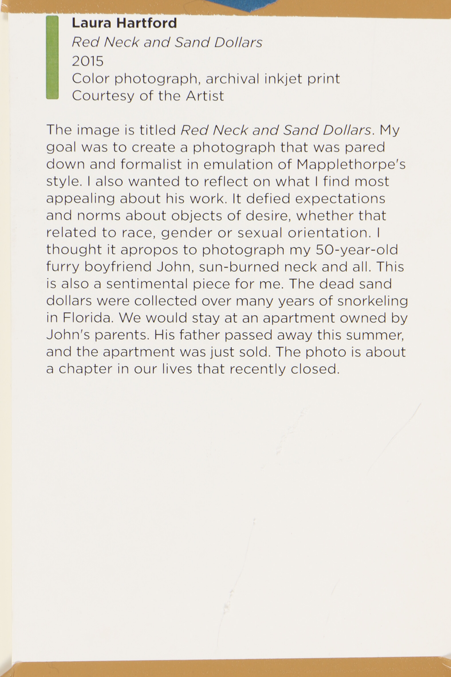 Laura Hartford Digital Photograph "Red Neck and Sand Dollars"