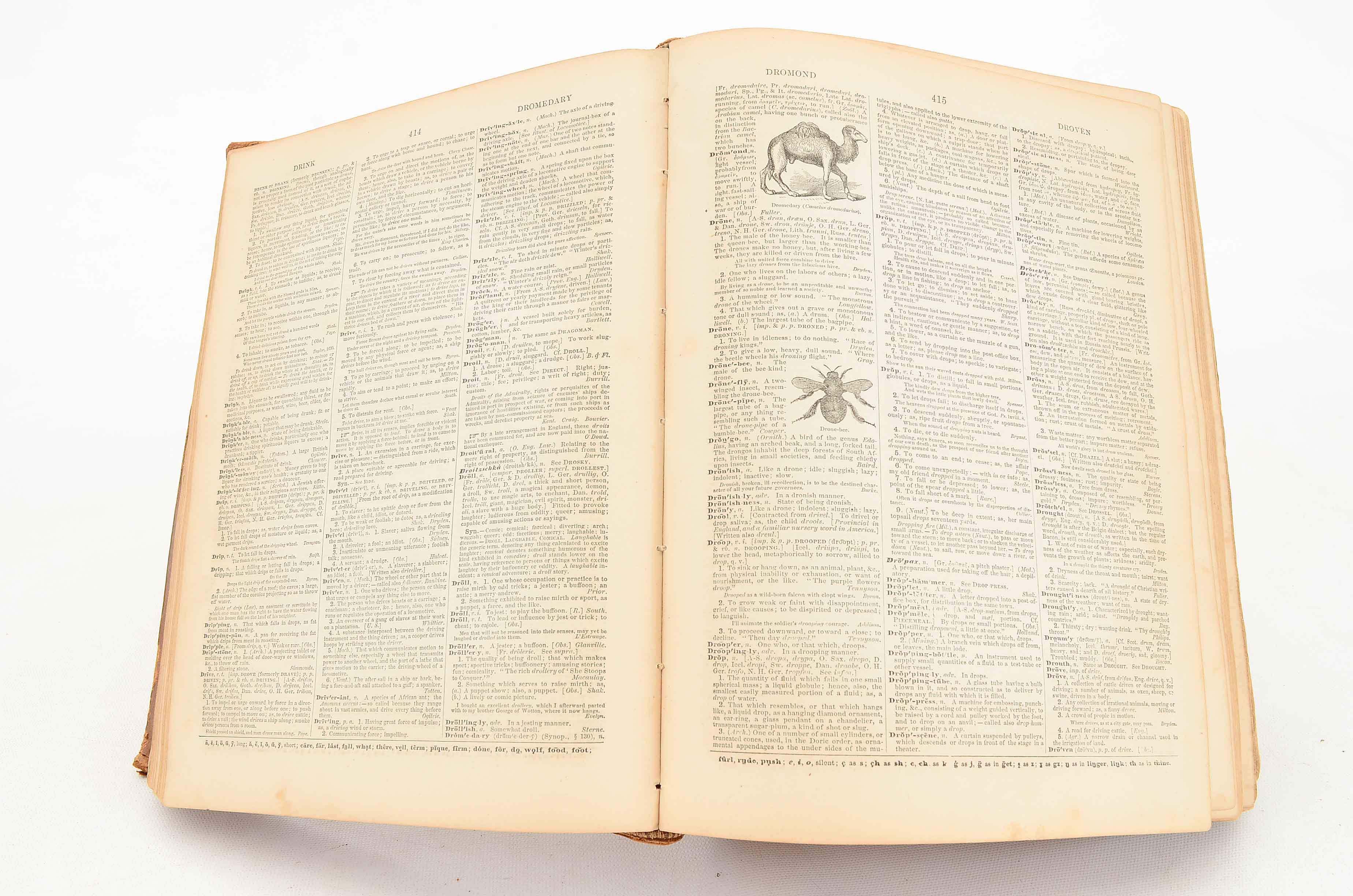 Antique Webster's Dictionary