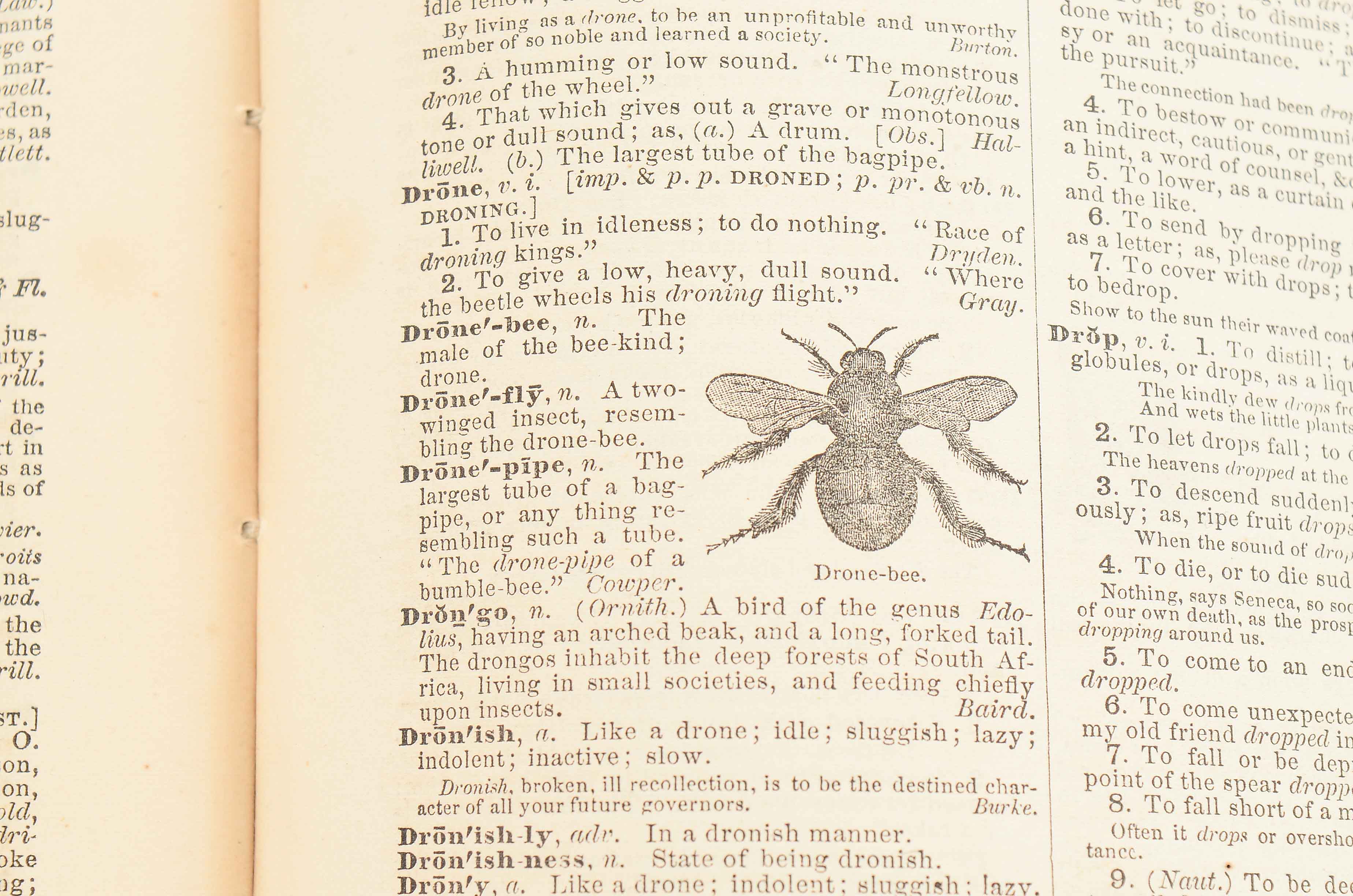 Antique Webster's Dictionary