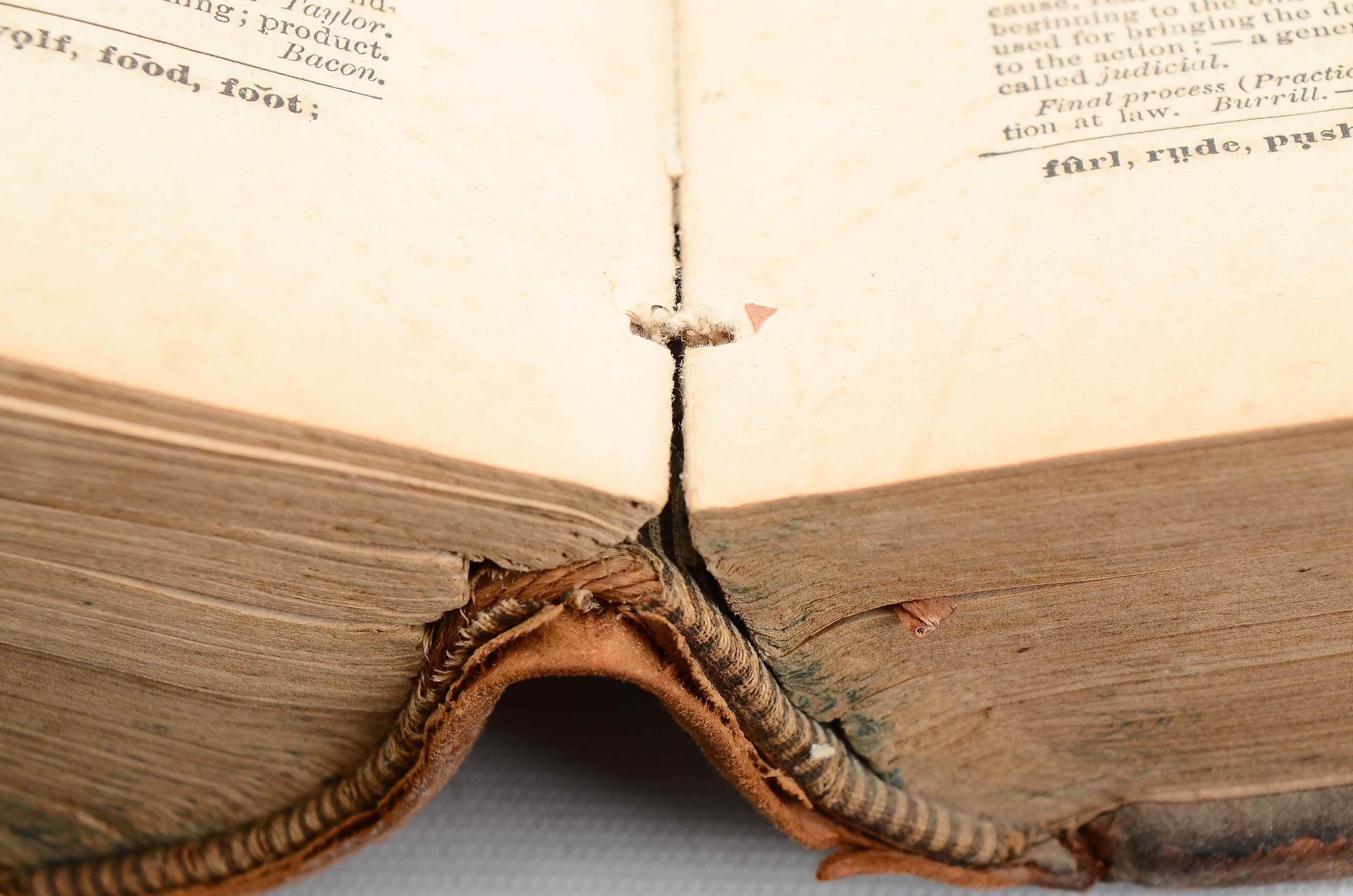 Antique Webster's Dictionary