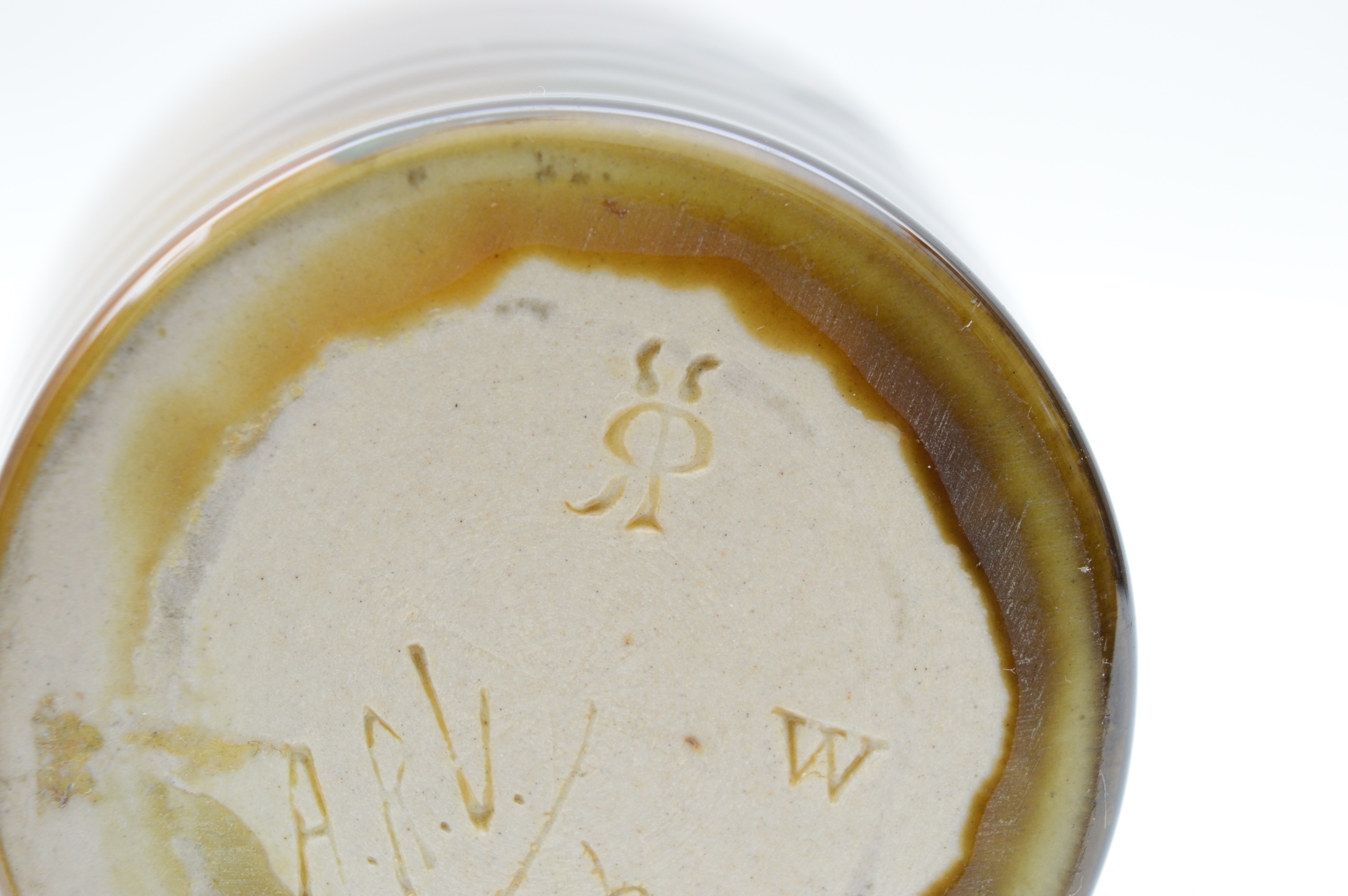 1888 Artist Signed Albert Valentin Rookwood "Frog" Mug