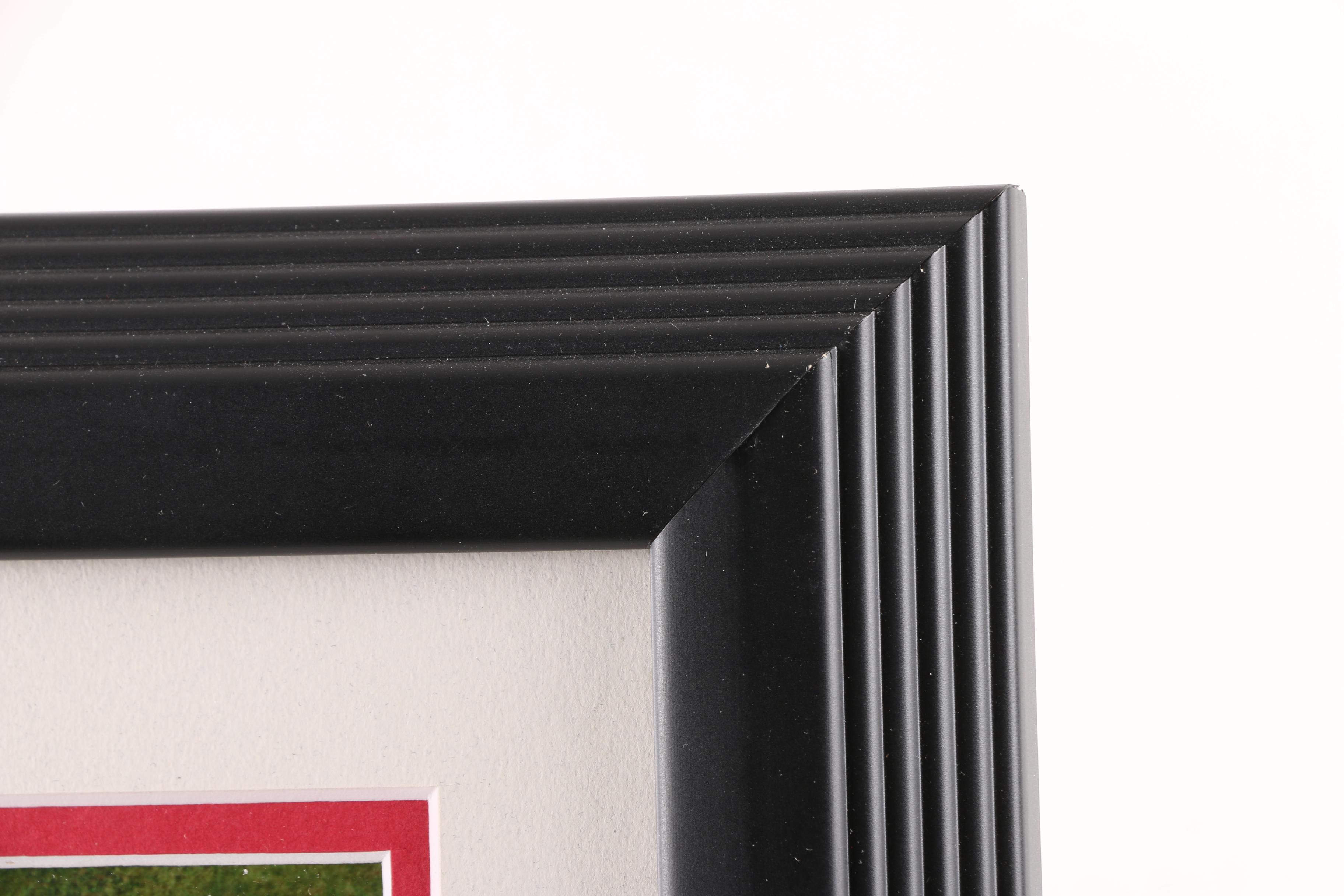 Boston Red Sox 2007 Limited Edition World Series Framed Photo Display