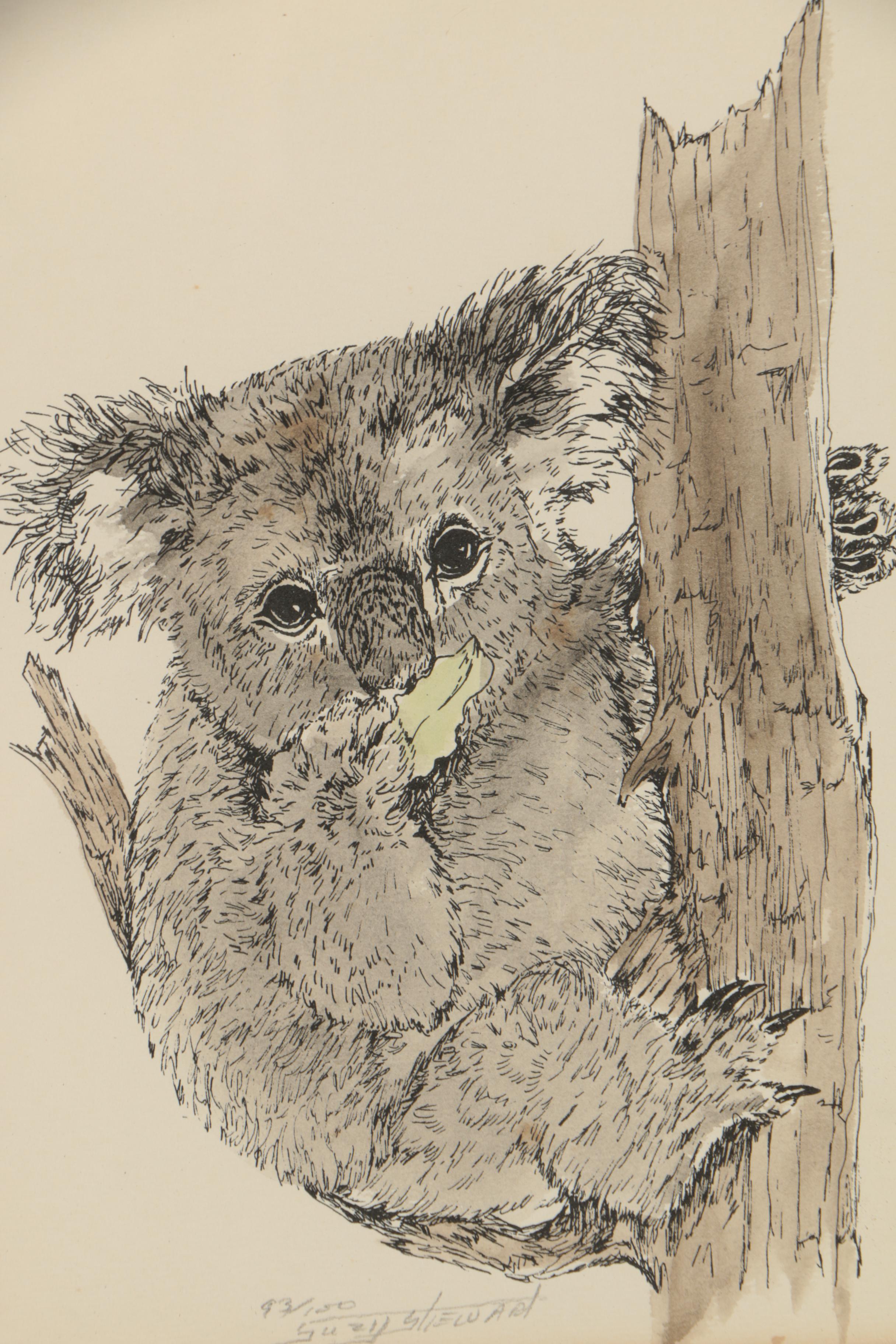Suzy Stewart Hand-Colored Lithograph of Koala