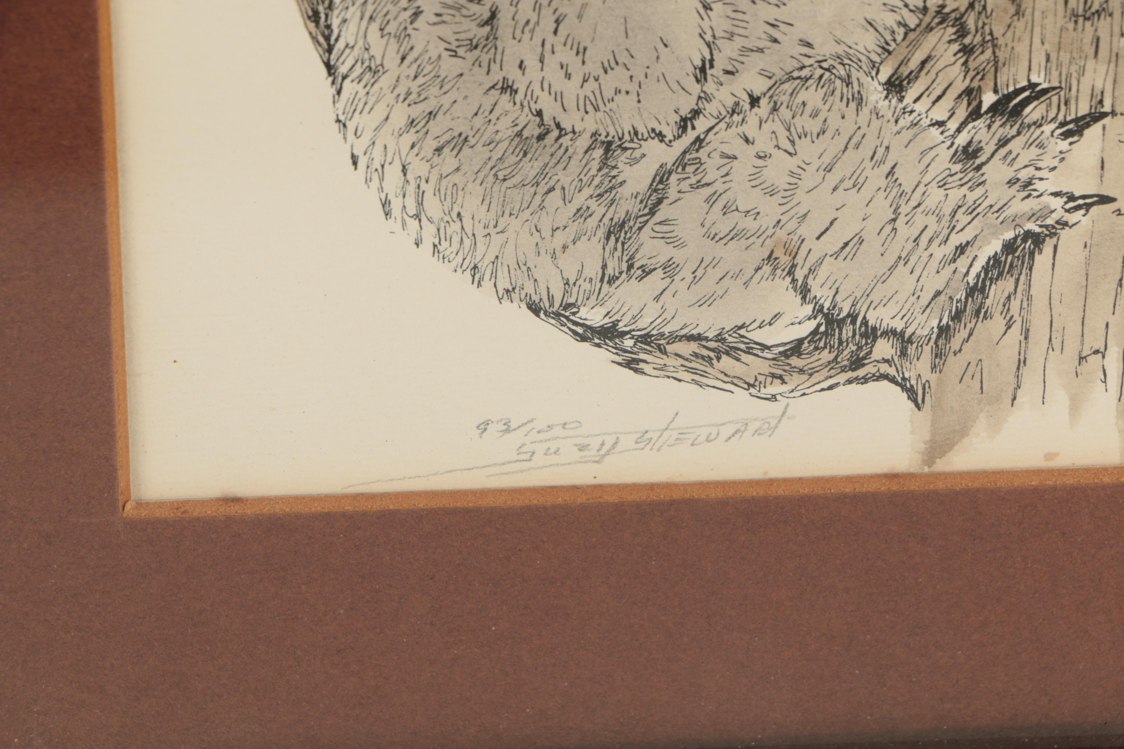 Suzy Stewart Hand-Colored Lithograph of Koala