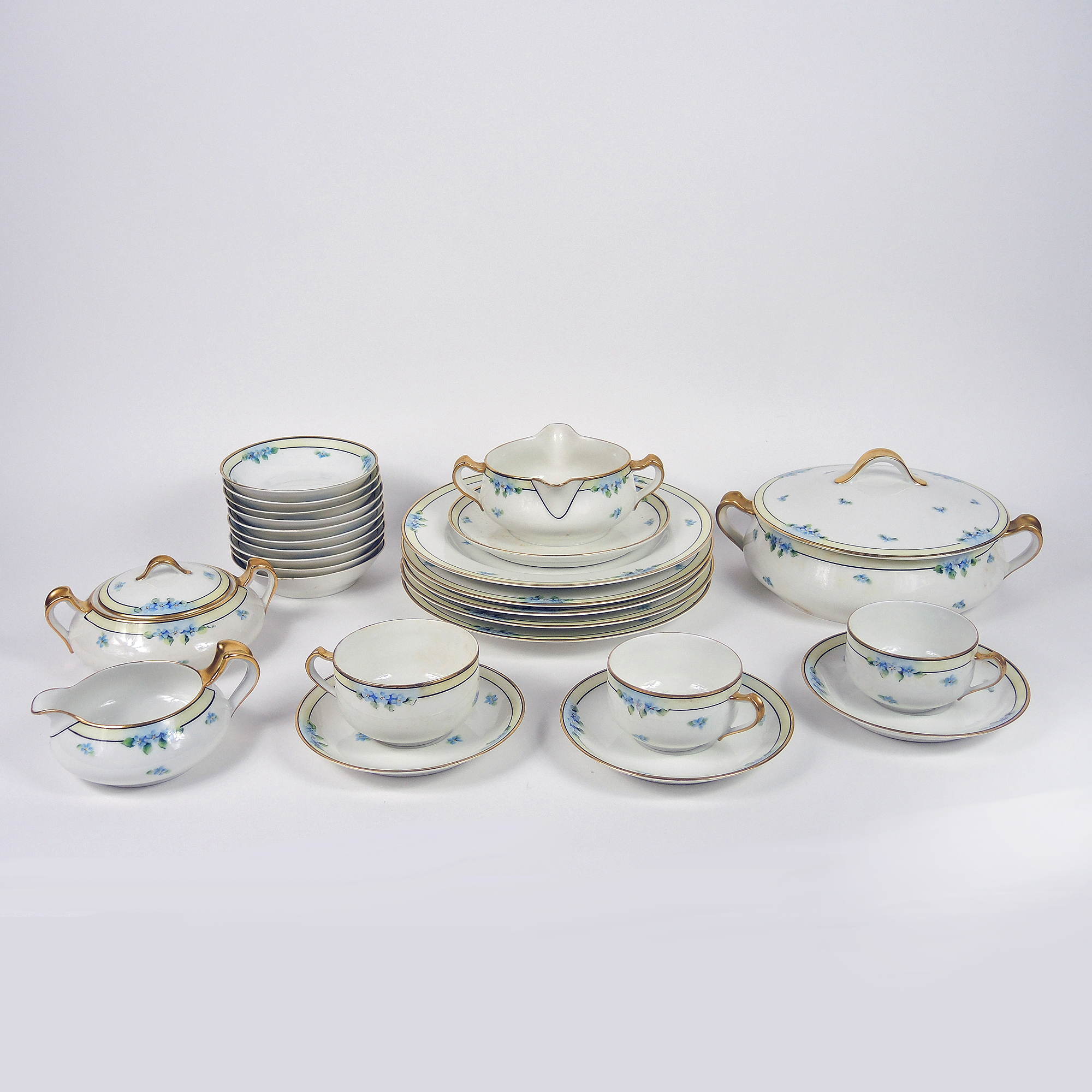 Vintage Haviland Limoges Hand-Painted Dinnerware
