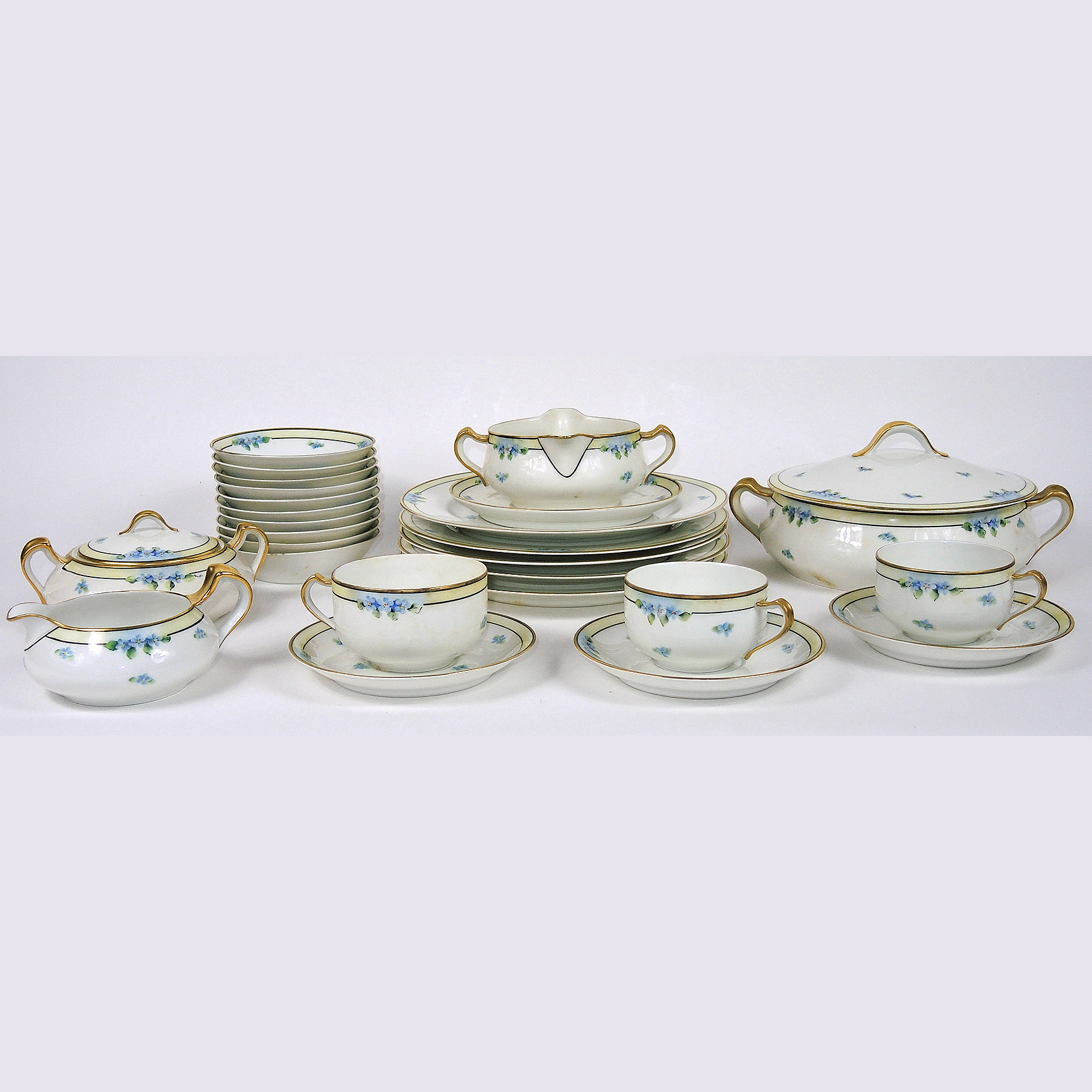 Vintage Haviland Limoges Hand-Painted Dinnerware