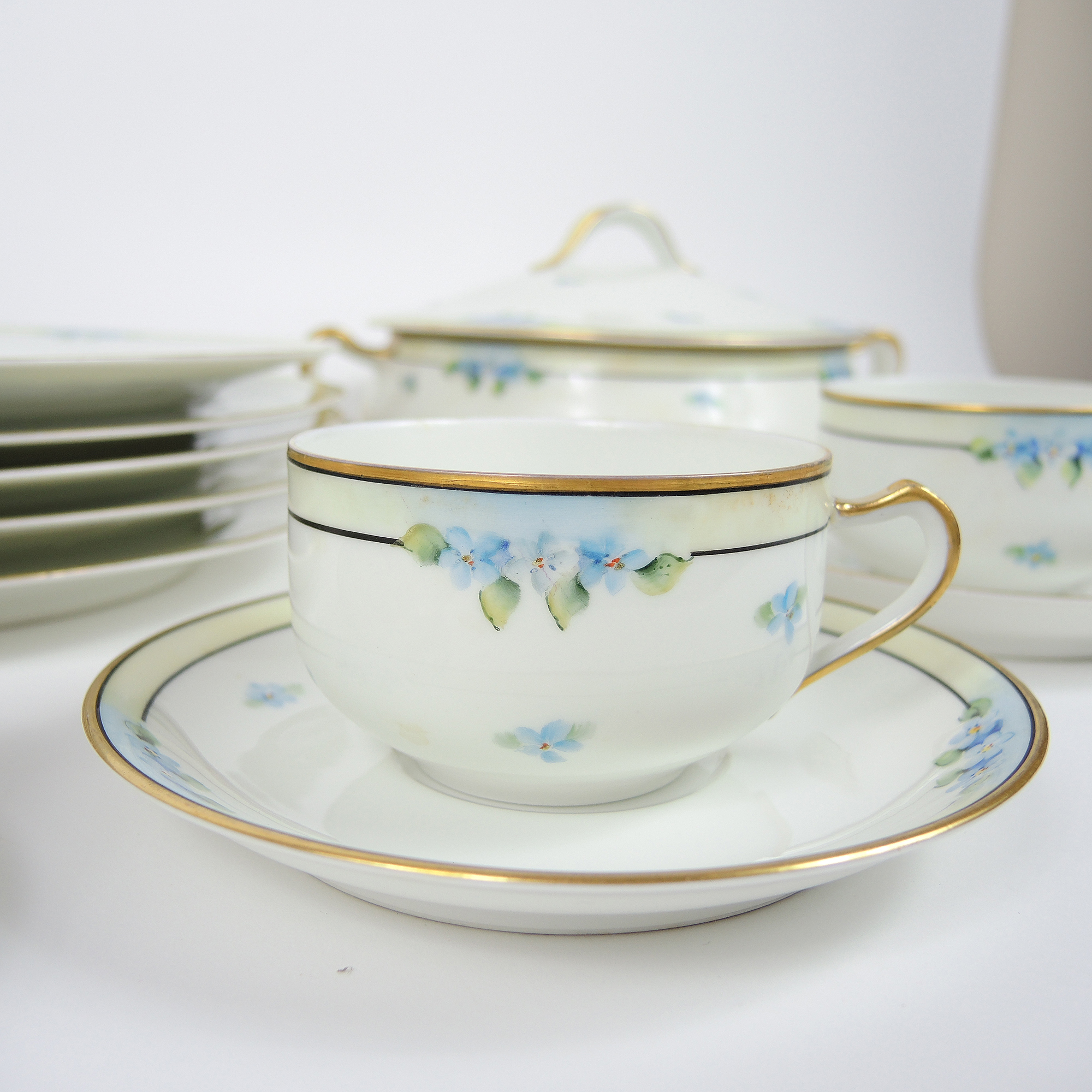 Vintage Haviland Limoges Hand-Painted Dinnerware