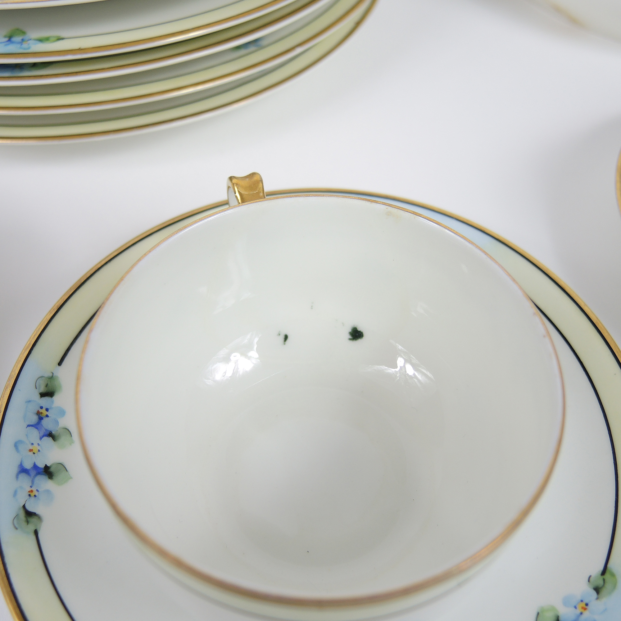Vintage Haviland Limoges Hand-Painted Dinnerware