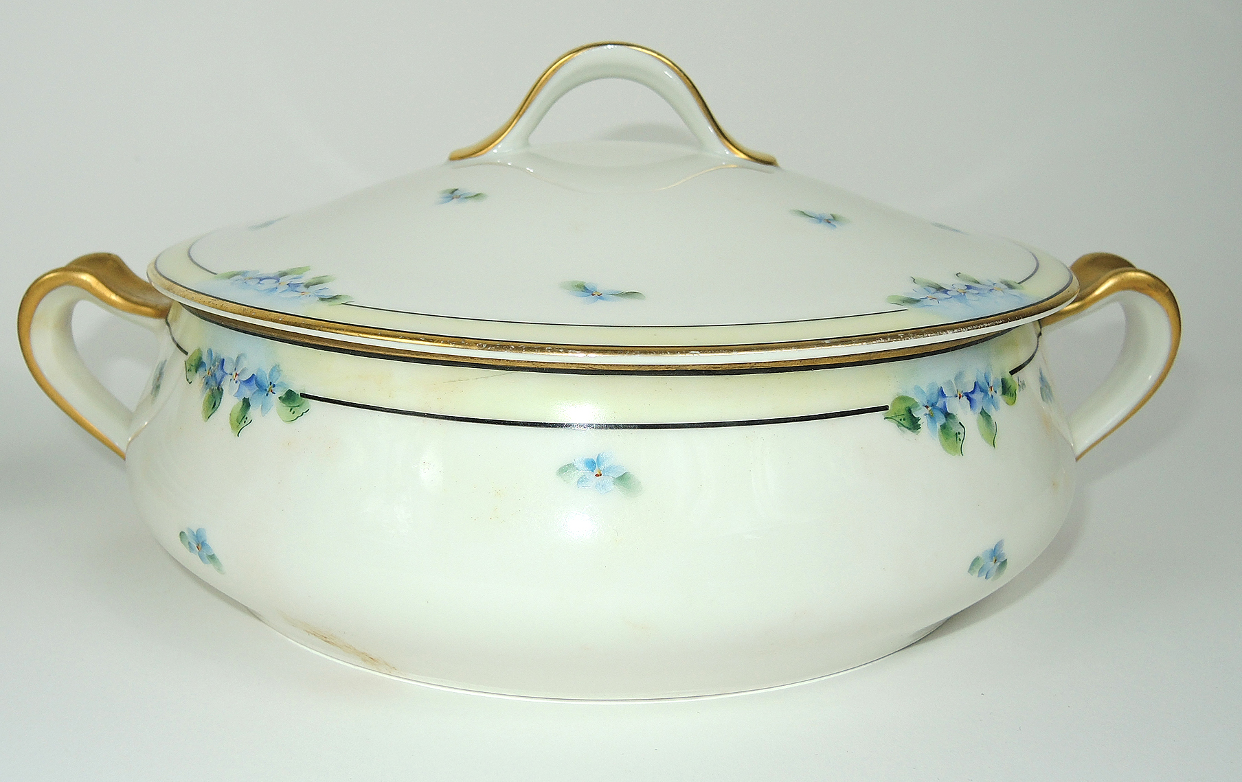 Vintage Haviland Limoges Hand-Painted Dinnerware