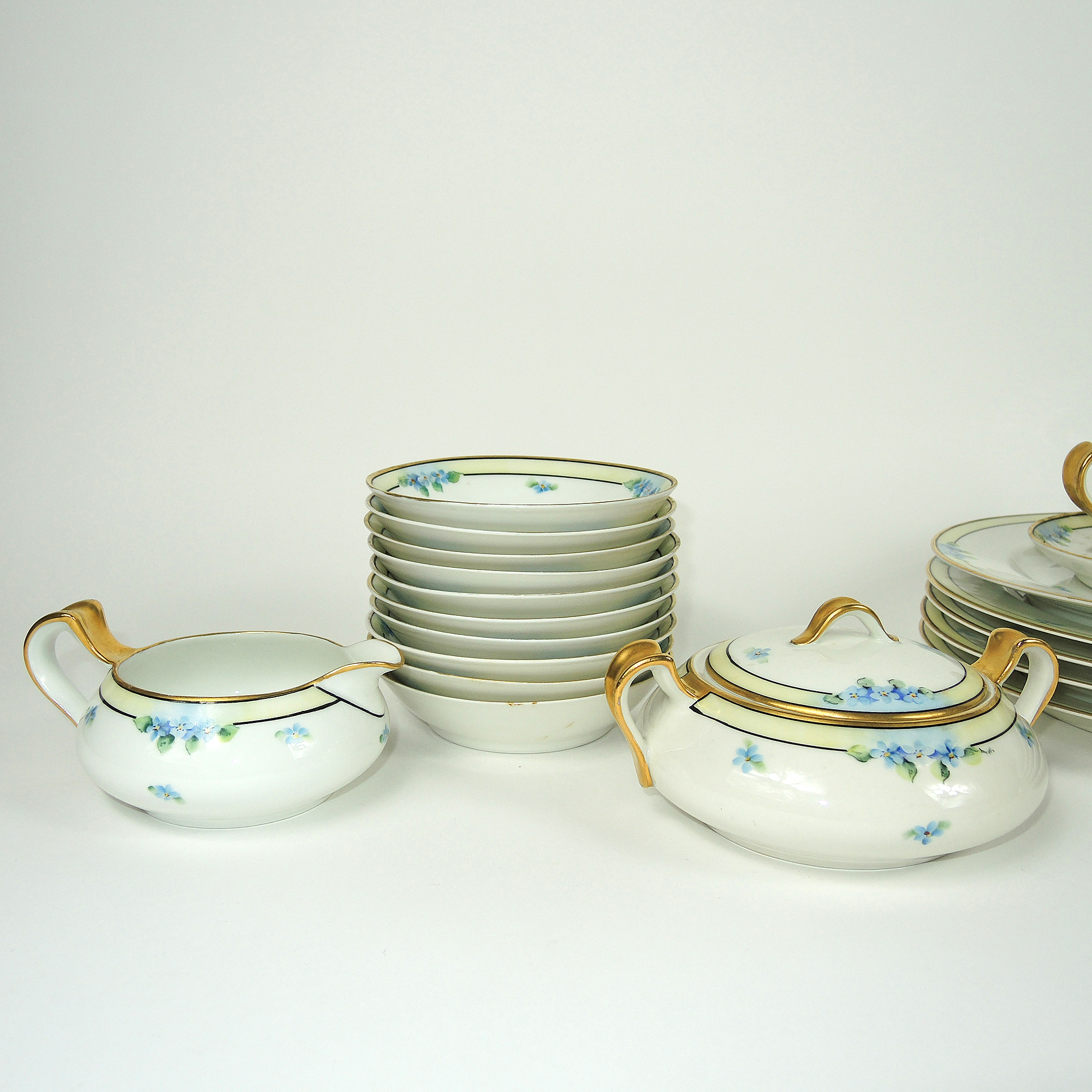 Vintage Haviland Limoges Hand-Painted Dinnerware