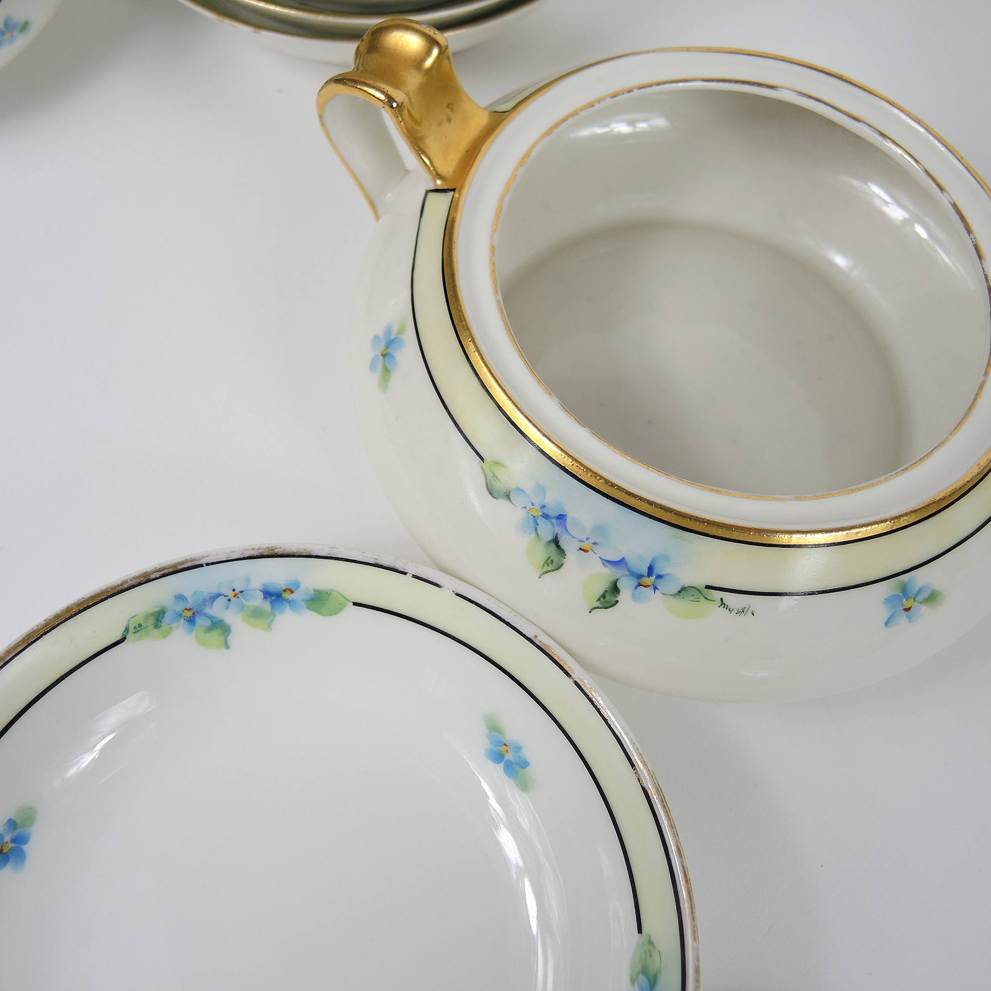 Vintage Haviland Limoges Hand-Painted Dinnerware