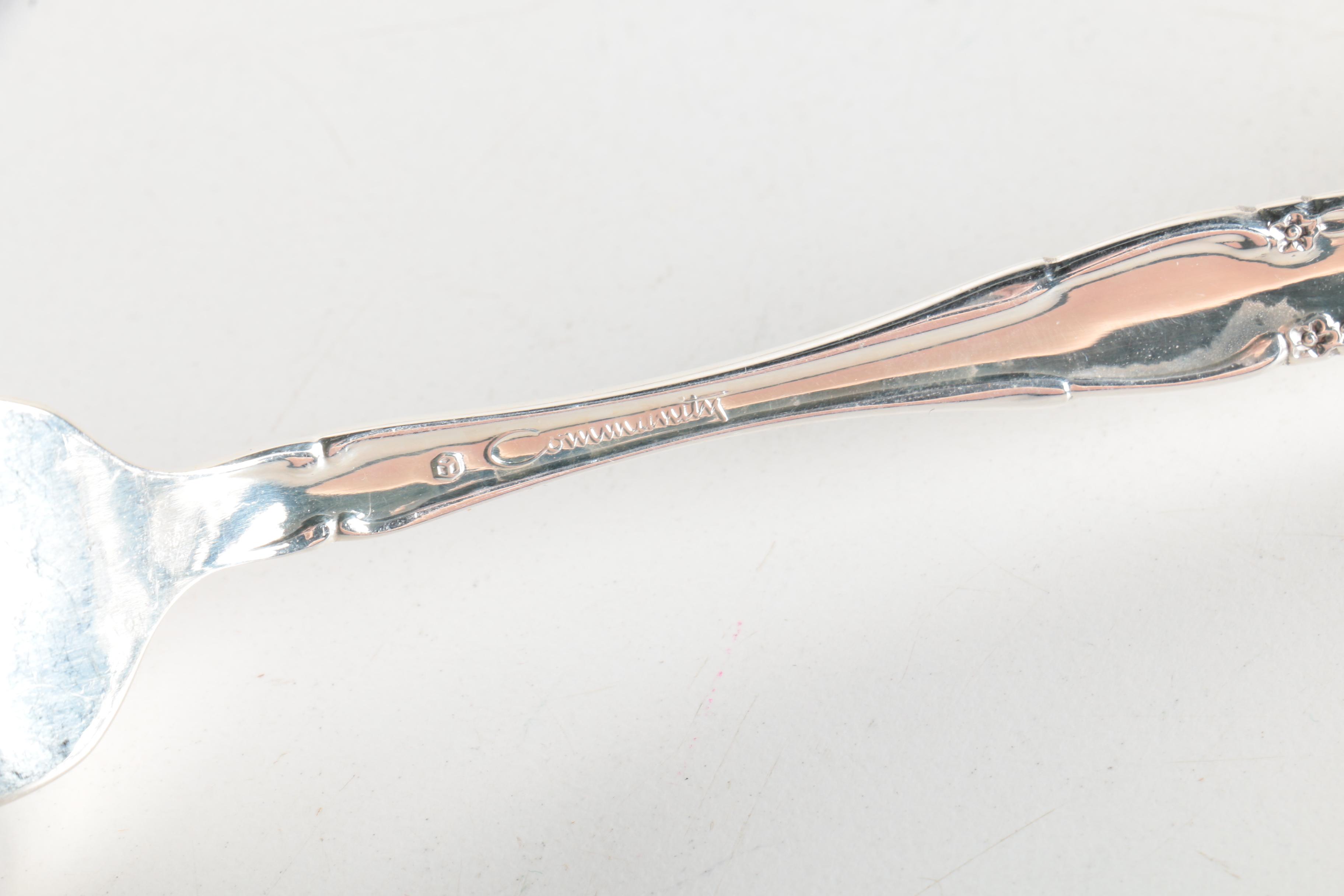 Oneida Community Stainless Steel Flatware Set